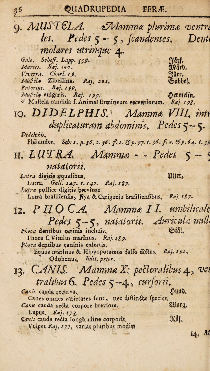 9. MUSTCLA. <XMamma plurima ventu les. Pedes 5 — 5, [candentes. Denti molares utrin-quc 4. Gulo. Sekeff, Lapp. 339, Martes. Raj. 200. Viverra. Chori. 1$. JSikftela Zibellina. Raj, 201 < (^flbbGk Putor tui. 199. MufieU vulgaris. Raj. 19$, «^ermelftt, Muftela candida f. Animal Ermifleum yecefttiorum. &r/. / IO* DIDELPHIS.' Mamma VIII, init duplicaturam abdominis. Pedes 5 — 5, Pzdelphif* Phiiander, Sefc: 1. p, $6. t. 36, f. 1. &p. /7. t. 36. /. 2. tfp. 64. t. 33 r 11, LUTRA, Mamma - * Pedes 5 - 5 natatorii. Lutra digitis aequalibus. tUfcf* Lutra. Gall. /47+ t. /47. Raj. i$?. Lutra pollice digitis breviore Lutra brafilienlis, Jiya &Carigueju hralilienfibus, Raj. /£7. 12, P H 0 C A, Mamma 11. umbilicale Pede,s 5—5, natatorii. Auricula null Phoca dentibus carinis inclufis, ©IfiU Phoca f. Vitulus marinus. Raj, 18P* Phoca dentibus caninis exfertis. Equus marinus & Hippopotamus falfo di&us, Raj. 191*, Odobenus. Edit, prior. 13. CANIS. Mamma X: peti oralibus 4. > vet tralibm 6. Pedes 5 —4„ curforii. cauda recurva. dplltlb» Canes omnes varietates funt, fiec diftin^ae fp.eciss, Canis cauda re£a corpore breviore. Lupus. Raj. 173. Camis cauda refta longitudine corporis, Vulges Raj. 177* variat pluribus modis* 14, M.