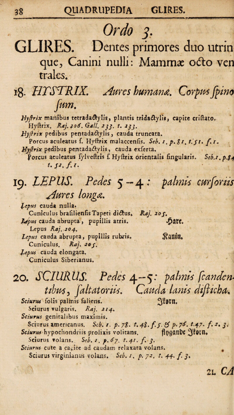 Ordo 3. GLIRES. Dentes primores duo utrin que, Canini nulli: Mammas octo ven trales. ig. HTSTRIX. Aures humana. Corpus fpino fum. Hyftrix manibus tetrada&ylis, plantis trida£yli*, capite criflato. Hyftrix. Raj.jod. Gall. 233. t. 133. Hyflrix pedibus pentadactylis, cauda truncata. Porcus aculeatus f. Hyftrix malaccenfis. Seb. /. p. £/4 t. fr. f.r. Hyflrix pedibus pentadactylis, cauda exferta. porcus aculeatus fylveftris £ Hyftrix orientalis lingularis. Seb.i.p,$4 t.JJ.fA* 19. LEPUS. Pedes 5—4. palmis curforiis Aures longa. Reptis cauda nulla. Cuniculus braftlienfis Tapeti dictus* Raj. 203, Ldpus cauda abrupta , pupillis atris. >&bTC* Lepus Raj. 204. Lepus cauda abrupta, pupillis rubris® Cuniculus. Raj. 203. Lepus cauda elongata. Cuniculus Siberianus. \ 20. SCIURUS. Pedes 4—5: palmis [canden¬ tibus , [ait at oriis. Cauda lanis dijiicha. Sciurus Colis palmis faliens. 3F#rn, Sciurus vulgaris. Raj. 213., Sciurus genitalibus maximis. Sciurus americanus. Scb. r. p.7$. ?*47* f»2* 3* Sciurus Hypochondriis prolixis volitans. flfygfilltC Sciurus volans. Seb. /. p. 67. t.41. f. 3. Sciurus cute a capite ad caudam relaxata volans. # Sciurus virginianus volans. Seb. 1. p. 72. r. 44, f, 3. 21. CA