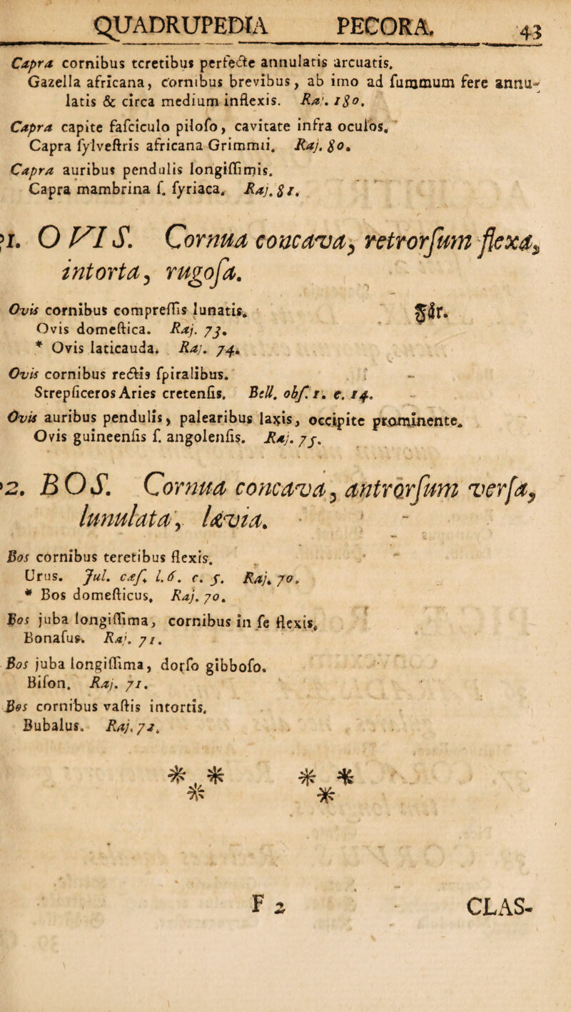 Capra cornibus teretibus perfecte annularis arcuatis. Gazella africana, cornibus brevibus, ab imo ad furacium fere annu¬ laris & circa medium inflexis. Rat. i$o. Capra capite fafciculo pilofo, cavitate infra oculos. Capra fylveftris africana Grimmii. Raj, Capra auribus pendulis longiflimis. Capra mambrina f. fyriaca. Raj,8i< >i. O VIS. Cornua concava, retrorfum -flexat intorta, rugofa. Ovis cornibus compreflls lunatis. Ovis domeftica. Raj. yj, * Ovis laticauda* Raj. /4* Ovis cornibus re&b fpiralibus. i Strepficeros Aries cretenfis, Bell. obf.i. e. 14, Ovis auribus pendulis, palearibus la*is, occipite prominente. Ovis guineenfls f. angolenfls. Raj. yj. '2. BOS. Cornua concava, antmrfum ver [a, lunulata , Uvia. ■ Bos cornibus teretibus flexis. Urus. JuL caf. 1,6. c. /. Raj„yo. * Bos domefticus, Raj, 70. Bos juba longiflima, cornibus in fe flexis, Bonafus. Raj. yi. Bos juba longiflima, dopfo gibbofo. Bifon. Raj. yi. Bos cornibus vafris intortis. Bubalus. Raj.ya, # * *
