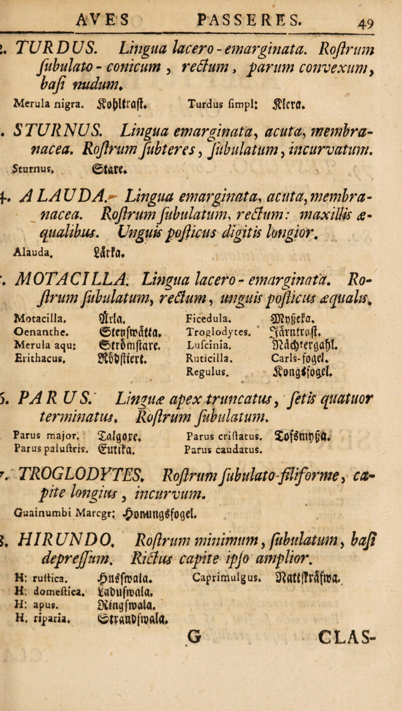 !. TURDUS. Lingua lacero -emarginata. Roftrum fubulato - conicum , reBum, parum convexum, baji tmdum. Merula nigra. ^ofylfrafh Turdus fimpl: $lct(U . STURNUS. Lingua emarginata, acuta, membra¬ nacea. Roftrumfubt er es, Jiibulatum, incurvatum. Sturnus. 0tar^ • ~ * i. i f. A LA U DA.~ Lingua emarginat a, acuta, membra¬ nacea. Rojlrum fibulatum, reBum: maxillis ae¬ qualibus. Unguis poficus digitis longior. Alauda. 2<Srf<!, .MOTACILLA. Lingua lacero - emarginat a. Ro- ftrum fibulatum, reBum, unguis poficus £ qualis. Motacilla. $r(a. Ficedula. 8)?t)§cFa* Oenanthe. Troglodytes. ' Merula aqu: 0tr6fn|ktt. Lufcinia. Erithacus, SipfcjlieFf. Ruticilla. Caris-fo^cU Regulus. Swigffogri. • * . •** . '• * 5. PAR US. Lingua apex truncatus, fetis quatuor terminatus, Roftrum fibulatum. Parus major, SalgOjC?* Parus crillatus. Parus paluftris. (gutiFa. Parus caudatus. T. TROGLODYTES, Roftrum fibulato-filiforme, ca¬ pite longius, incurvum. . 1 * ♦ Guainumbi Marcgr; £oiVUng$fOGel. 5, HIRUNDO, Roftrum minimumy fabulatum, bafi deprejptm. Ritius capite ipjo amplior. H: rultica. £u$ftt)al(U Caprimulgus. 2^atC|?VfifW0» H; domeftica. ¥at)ufn>ala. H: apus. SCmgfroala. H, riparia. 0ttAllD|'nMla»