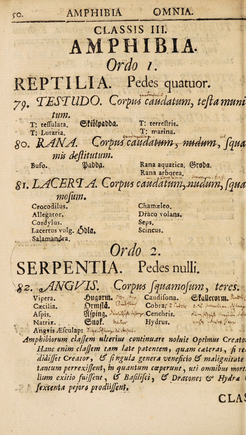 5-c. AMPHIBIA OMNIA. CLASSIS III. AMPHIBIA. Ordo i. REPTILIA. Pedes quatuor. yg, TESTUDO. Corpm comatum, tefla muni T: terreftris. tum. Tt teffulata. efi&ipai>Da. T; Lutaria. T: marina. So. RANA. CorpmcmBaimn-y tmdttm “fqm mis deftitutum. Bufo. $aDtyu Rana aquatica. 0roi>ae Rana arborea. / — 7 Cc-rtW >*.<•- n/r/y §i. LACERTA. Corpm mojitm. Crocodilus. Cham^Ieo. Allegator. Draco volans8 Cordylus. Seps. Lacertus vulg. Scincus. , Salam&rwka. Ordo 2. SERPENTIA. Pedes nulli. \ ' \$2. ^ANQVIS. Corpm fquamofum, teres. Vipera. J^Ugonit* .^h\' Caudifona. ©(ftUcCOllD* Cascilia. Cokr3f 3 i ^ Afpis, fptng8 XujXfy.Apy. Cenchris. Jf Natrix.„ . ©lUlf. Hydrus. y^qk . Angfis Aifculap: Amphibiorum clajjem ulterius continuare noluit Optimus Creato; Hanc enim clajjem tam late patentem, quam cateras, fi re< didijjet Creator, d/ // genera veneficio malignitate tantum perrexijjent, m quantum cceperunt, uti omnibtis mort. lium exitio fuijfent, Bafilifci, # Dracones & Hydra i [extenta pejoro vrodujjenh CLAJ