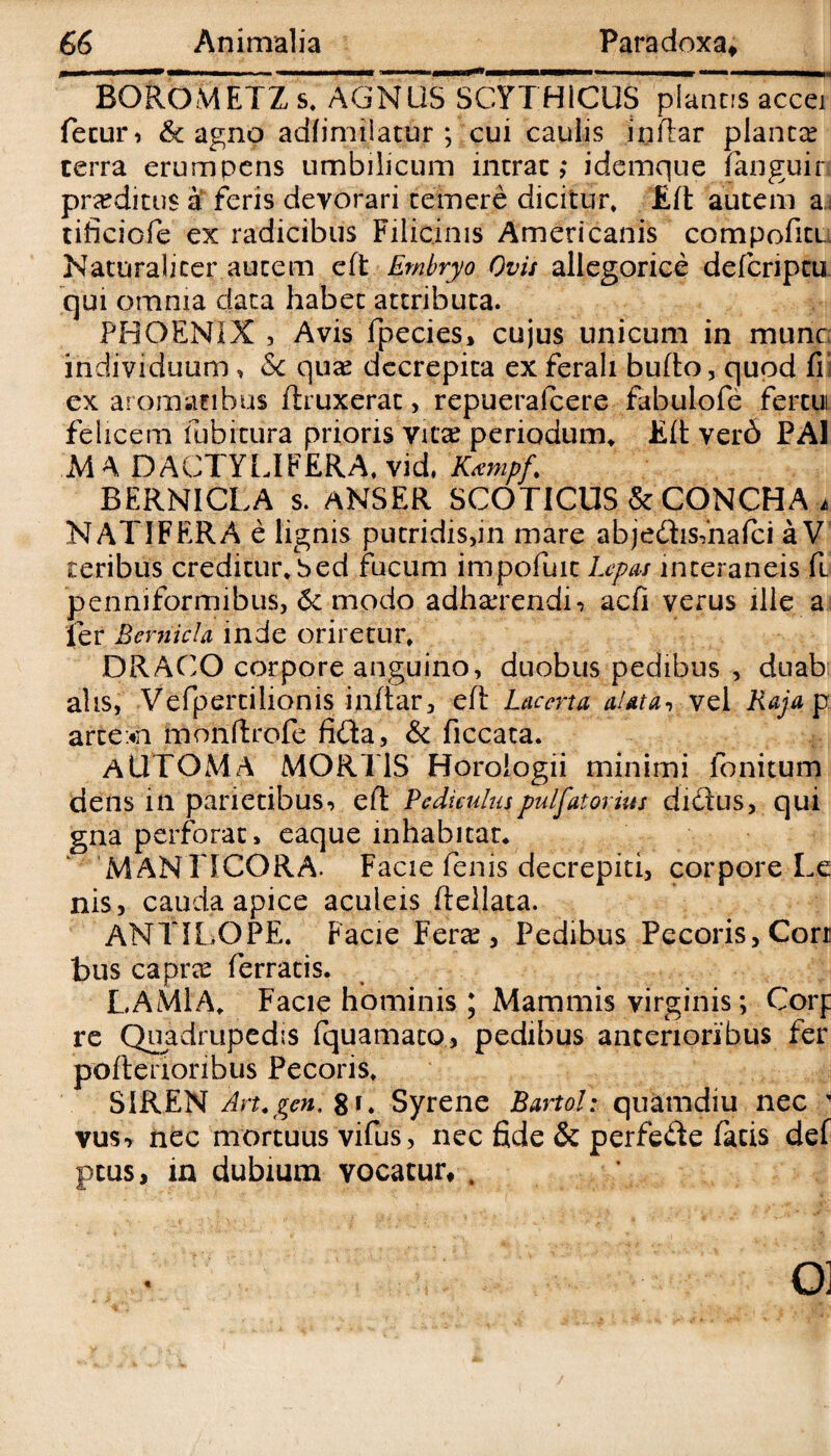 BOROMETZ s, AGNUS SCYTHICUS plancis accei fecum & agno adlimiiatur ; cui caulis inftar planca? terra erumpens umbilicum intrat; idemque fanguir praditus a feris devorari temere dicitur* £lt autem a tificiofe ex radicibus Filicinis Americanis compofitt Naturaliter autem eft Embryo Ovis allegorice defcriptu qui omnia data habet attributa. PHOENIX , Avis fpecies, cujus unicum in mune individuum > Sc qua decrepita ex ferali bufto, quod fi ex aromatibus ftruxerat, repuerafeere fabulofe fercui felicem fubrttira prioris vita periodum» Eli ver6 PA1 MA DACTYLIFERA, vid, 'Kampf. BERNICLA s. ANSER SCOTICUS & CONCHA . NATIFERA e lignis putridis,in mare abje&isfnafci aV ceribus creditur* bed fucum impofuit Lepas interaneis fi penniformibus, & modo adhaerendiaefi verus ille a fer Rcrnida inde oriretur, DRACO corpore anguino, duobus pedibus , duab: ahs, Vefpertilionis inftar, eft Lacerta alata, vel Raja p arte«n monftrofe fida, & ficcata. AUTOMA MORTIS Horologii minimi Ionicum dens in parietibus*» eft Pediculus pulfatorius dictus, qui gna perforat, eaque inhabitat, MANTICORA. Facie fenis decrepiti, corpore Le nis, cauda apice aculeis ftellata. ANTTLOPE. Facie Fera, Pedibus Pecoris, Corr bus capra ferratis. LAMIA, Facie hominis ; Mammis virginis; Corp re Quadrupedis fquamaco, pedibus anterioribus fer pofterionbus Pecoris, SIREN Art.gcn. 81, Syrene Bartol: quamdiu nec ' vus-, nec mortuus vifus, nec fide & perfede facis def peus, in dubium vocatur* ,