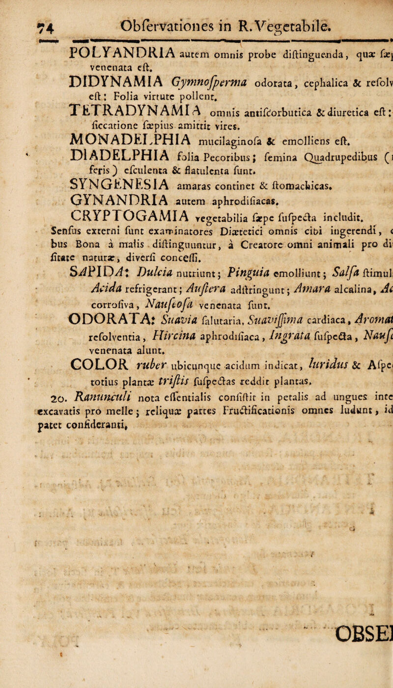 POLYANDRIA autem omnis probe diftinguenda, qux fxj venenata eft. DIDYNAMIA Gymnojpcrma odorata, cephalica Sc refolv eft: Folia virtute pollent. TETRADYNAMIA omnis antifc!orbutica & diuretica eft: ficcatione fxpius amittit vires. MONADELPHIA mucilaginofa Sc emolliens eft. DlADELPHIA folia Pecoribus; femina Quadrupedibus () feris ) efculenta & flatulenta funt. SYNGENESIA amaras continet & ftomachicas. GYNANDRIA autem aphrodifiacas, CRYPTOGAMIA vegetabilia fxpe fufpe&a includit. Senfus externi funt examinatores Dixtetici omnis cibi ingerendi, c bus Bona a malis diftingmintur, a Creatore omni animali pro di' litate natura:, diverfi concefti. S/JPIDJ: Dulcia nutriunt; Pinguia emolliunt; Sdlfa ftimul, Acida refrigerant; Au fler a adftringunt; Amara alcaiina, Ai corrofiva, Naufcoja venenata funt. ODORATA: Suavia falutaria, SuaviJJima cardiaca, Aromat refolventia, Hircina aphrodiftaca, Ingrata fufpc&a , Naujl venenata alunt. COLOR tuber ubicunque acidum indicat, luridus Sc Afpe< totius plantx trijlis fufpc&as reddit plantas. 20. Ranunculi nota elfentialis coniiftit in petalis ad ungues inte excavatis pro meile j rcliqux partes Fru<ftificati©nis omnes ludunt, id patet conHderanti, 0BSE1