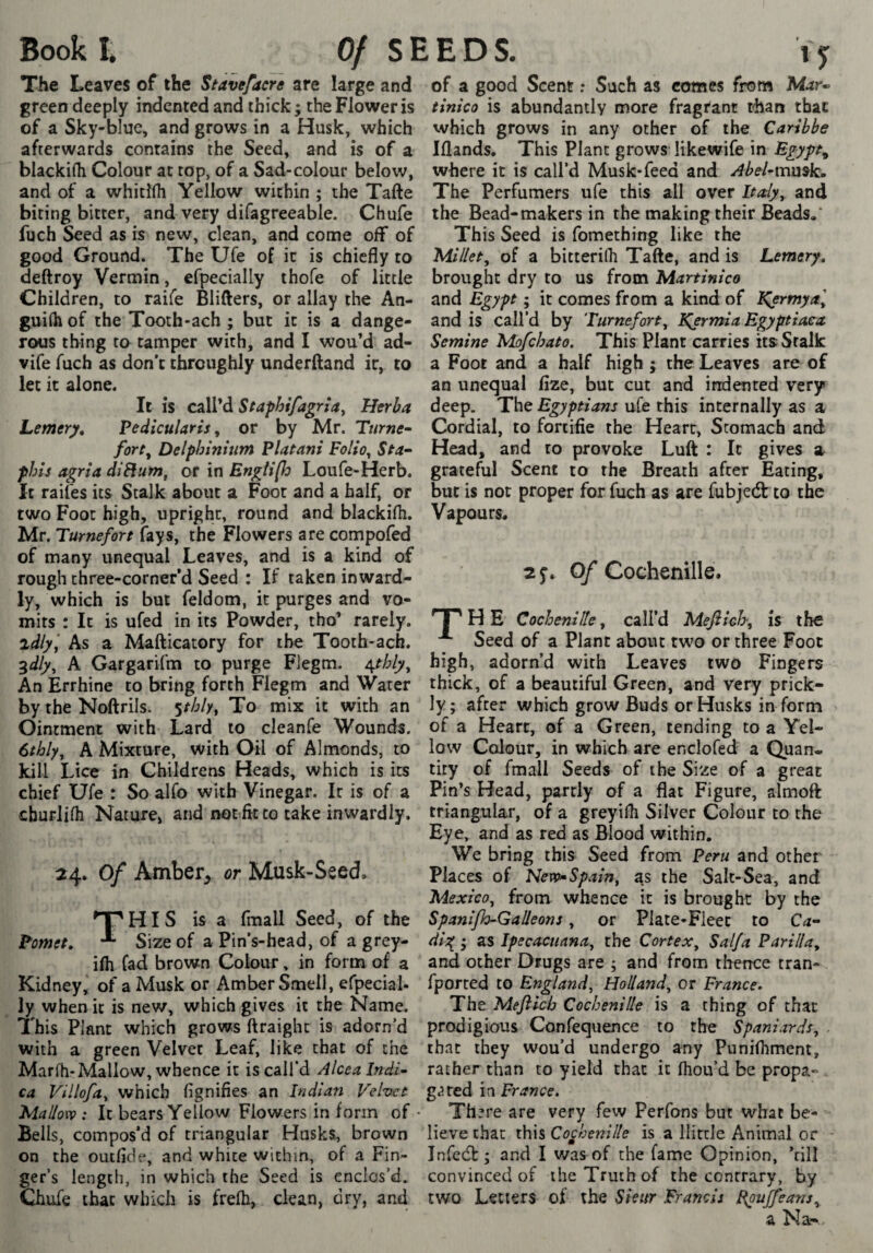 The Leaves of the Stavefacre are large and green deeply indented and thick; the Flower is of a Sky-blue, and grows in a Husk, which afterwards contains the Seed, and is of a blackifli Colour at top, of a Sad-colour below, and of a whitllh Yellow within ; the Tafte biting bitter, and very difagreeable. Chufe fuch Seed as is new, clean, and come off of good Ground. The Ufe of it is chiefly to deftroy Vermin, efpecially thofe of little Children, to raife Blifters, or allay the An- guifh of the Tooth-ach ; but it is a dange¬ rous thing to tamper with, and I wou’d ad- vife fuch as don’t throughly underftand it, to let it alone. It is cAVd Staphifagna^ Herha Lemery, Pedicularis ^ or by Mr. Turner fort^ Delphinium Platani Folio^ 5^^- phis agria diBum, or in EngU[h Loufe-Herb. It raifes its Stalk about a Foot and a half, or two Foot high, upright, round and blackifli. Mr. Turnefore fays, the Flowers are compofed of many unequal Leaves, and is a kind of rough chree-corner’d Seed : If taken inward¬ ly, which is but feldom, it purges and vo¬ mits : It is ufed in its Powder, tho’ rarely. %dlyi, As a Mafticatory for the Tooth-ach. ^dly, A Gargarifm to purge Flegm. 4^/^/^, An Errhine to bring forth Flegm and Water by the Noftrils. sr/^/y, To mix it with an Ointment with Lard to cleanfe Wounds. 6thly^ A Mixture, with Oil of Almonds, to kill Lice in Childrens Heads, which is its chief Ufe : So alfo with Vinegar. It is of a cburlifli Nature, and not fit to take inwardly. 24. Of Amber^ or Musk-Seed. '^HIS is a fmall Seed, of the Pomet, Size of a Pin’s-head, of a grey- ifli fad brown Colour, in form of a Kidney, of a Musk or Amber Smell, efpecial¬ ly when it is new, which gives it the Name. This Plant which grows ftraight is adorn’d with a green Velvet Leaf, like that of the Marfh-Mallow, whence it is call’d Alcoa îndi~ ca Villofa^ which fignifies an Indian Velvet Mallow : It bears Yellow Flowers in form of Bells, compos’d of triangular Husks^ brown on the outfide, and white within, of a Fin¬ ger’s length, in which the Seed is enclos’d. Chufe that which is frefli, clean, dry, and of a good Scent ; Such as comes from Mar- tinico is abundantly more fragrant tdian that which grows in any other of the Caribbe Iflands. This Plant grows likewife in Egypt^ where it is call’d Musk-feed and Abel^mmk, The Perfumers ufe this all over Italy^ and the Bead-makers in the making their Beads»' This Seed is fomething like the Millet, of a bitterilh Tafte, and is Lemery, brought dry to us from Martinico and Egypt ; it comes from a kind of IÇermyal and is call’d by Turnefort, IÇp-mia Egyptiaca. Semine Mofehato. This Plant carries its: Stalk a Foot and a half high ; the Leaves are of an unequal fize, but cut and indented very deep. The Egyptians ufe this internally as a Cordial, to fortifie the Heart, Stomach and Head, and to provoke Luft : It gives a grateful Scent to the Breath after Eating, but is not proper for fuch as are fubjedt to the Vapours. Of Cochenille. HP H E Cochenille, call’d Mejiich, is the Seed of a Plant about two or three Foot high, adorn’d with Leaves two Fingers thick, of a beautiful Green, and very prick¬ ly; after which grow Buds or Husks in form of a Heart, of a Green, tending to a Yel¬ low Colour, in which are enclofed a Quan¬ tity of fmall Seeds of the Size of a great Pin’s Head, partly of a flat Figure, almoft triangular, of a greyifli Silver Colour to the Eye, and as red as Blood within. We bring this Seed from Peru and other Places of NewSpain^ as the Salt-Sea, and Mexico, from whence it is brought by the Spanijh-Galleons, or Plate-Fleet to Ca- dis^ ; as Ipecacuana, the Cortex, Saif a Parilla, and other Drugs are ; and from thence tran- fported to England, Holland, or France* The Meftich Cochenille is a thing of that prodigious Confeqiience to the Spaniards, . chat they wou’d undergo any Punilhment, rather than to yield that it fhou’d be propa- g<3red in France, Th?re are very few Perfons but what be¬ lieve that this Coftjenille is a llittle Animal or Infedt; and I v/asof the fame Opinion, ’till convinced of the Truth of the contrary, by two Letters of the Sieitr Francis Epujfeans, a Na?-