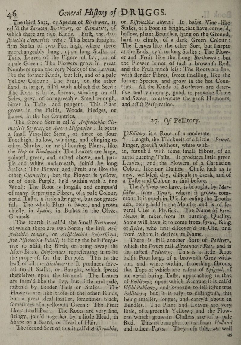 The third Sort, or Species of Bhthwort, is call’d the Saracen 'Birthvp^ort^ or Clématite^ of which there are two Kinds, Firft, the ^r;- flolochla clematitis reBa : This bears ftraighr, firm Stalks of two Foot high, where there interchangeably hang, upon long Stalks or Tails, Leaves of the Figure of Ivy, but of a pale Green : The Flowers grow in great Numbers upon the very Necks of the Leaves, like the former Kinds, but lefs, and of a pale Yellow Colour : The Fruit, on the other hand, is larger, fill’d with a black flat Seed : The Root is little, fibrous, winding on all Sides, grey, of an agreeable Smell enough, bitter in Tafle, and pungent. This Plant grows in the Fields, Woods, Hedges, or Lanes, in the hot Countries. The fécond Sort is call’d Ariflolochia Cle¬ matitis Serpens^ or Altera Hifpanica : It bears a fmall Vine-like Stem , of three or four Foot high, hollow, winding, and clinging to other Shrubs , or neighbouring Plants, like the Hop or Bindvoeed : The Leaves are large, pointed, green, and united above, and pur¬ ple and white underneath, join’d by long Stalks : The Flower and Fruit are like the other Clématite ; but the Flower is yellow, or of dark Purple, lin’d within with a fine Wool : The Root is longilh, and compos’d of many ferpencine Fibres, of a pale Colour, acrid Tafle, a little aftringenc, but not grace¬ ful. The whole Plant is fweec, and grows chiefly in Spain^ in Bufhes in the Olive- Grounds. The fourth is call’d the Small Birtbwort, of which there are two Sorts ; the firft, Ari- fiolochia tenuis , or Ariflolochia Polyrrhi:^os^ jive piflolochia Plinii^ it being the belt Purga¬ tive to aflifl the Birth, or bring away the After-Birch, Diofeorides reprefenting it to be the propereft for that Purpofe. This is the leaft of all the Birthworts : It produces feve- ral fmail Stalks, or Boughs, which fpread themfelves up^n the Ground. The Leaves are form’d like the Ivy, but little and pale, faften’d by {lender Tails or Stalks., The* Flowers are like thofe of the other Kinds, but a great deal fmaller, fomecimes black, fometimes of a ycliowilh Green : The Fruit like a fmail Pear, The Roots are very fine, itringy, jo;n’d together by a little Head, in Shape of a Beard, or Head of Hair. The fécond Sort of liiis is call’d Ariflolochia, or Piflolochia altera : It bears Vine-like Stalks, of a Foot in height, chat have corner’d, hollow, pliant Branches, lying on the Ground, hard to climb, of a dark Green Colour : The Leaves like the other Sort, but (harper at the Ends, cy’d to long Stalks : The Flow¬ er and Fruit like the Long Birthwort ; but the Flower is not of fuch a brownifli Red, and the Fruit much lefs: The Roots are fine, with flender Fibres, fweet fmeliing, like the former Species, and grow in the hot Coun¬ tries. All the Kinds of Birthvoort are deter- five and vulnerary, good to provoke Urine and Swear, to attenuate the grofs Humours, and aflifl Perfpiracion. 27, Of Pellltory. JjEllitory is a Root of a moderate ^ Length, the Thicknefs of a Little Pemet, Finger, greyifii without, white with¬ in, futniih’d with fome fmail Fibres, of an acrid burning Tafle. It produces little green Leaves ; and the Flowers of a Carnation Colour, like our Daifies. Chufe fuch as is new, well-fed, dry, difficult to break, and of a Tafle and Colour as faid before. The Peliitorj we have, is brought, by Mar- fellies, from Tunis, where it grows com¬ mon : It is much in Ufe for eafing the Tooth- ach, being held in the Mouth ; and is of fe- veral Ufes in Ph}fick. The Name of Pyre- thrum is taken frc*m its burning Quality* Some will have it to come from Pynu, King of Epire, who firft difeover’d its Ufe, and from whom it derives its Name. There is ftill another Sore of Pellitory^ which the Frewc/? call Alexander s Foot, and is the, tufted Pellltory : This is a little Root half a Foot long, of a brownifh Grey with¬ out, and white within, fomething fibrous, the Tops of which are a fort of Spignel, of an acrid biting Tafle, approaching to that of Pellltory ', upon which Account it is call’d Wild Peliitory, and fovne ufe to fell it for true Pellltory ; but it is cafy to diftinguifti* this being fmaller, longer, and carry'd about in Bundles. The Plant and Leaves are very little, of a greenilk Yellow; and the Flow¬ ers which grow in Clufters are-.of a pale Red. This is brought to us from Holland and other Parts, They ufe this, as well as