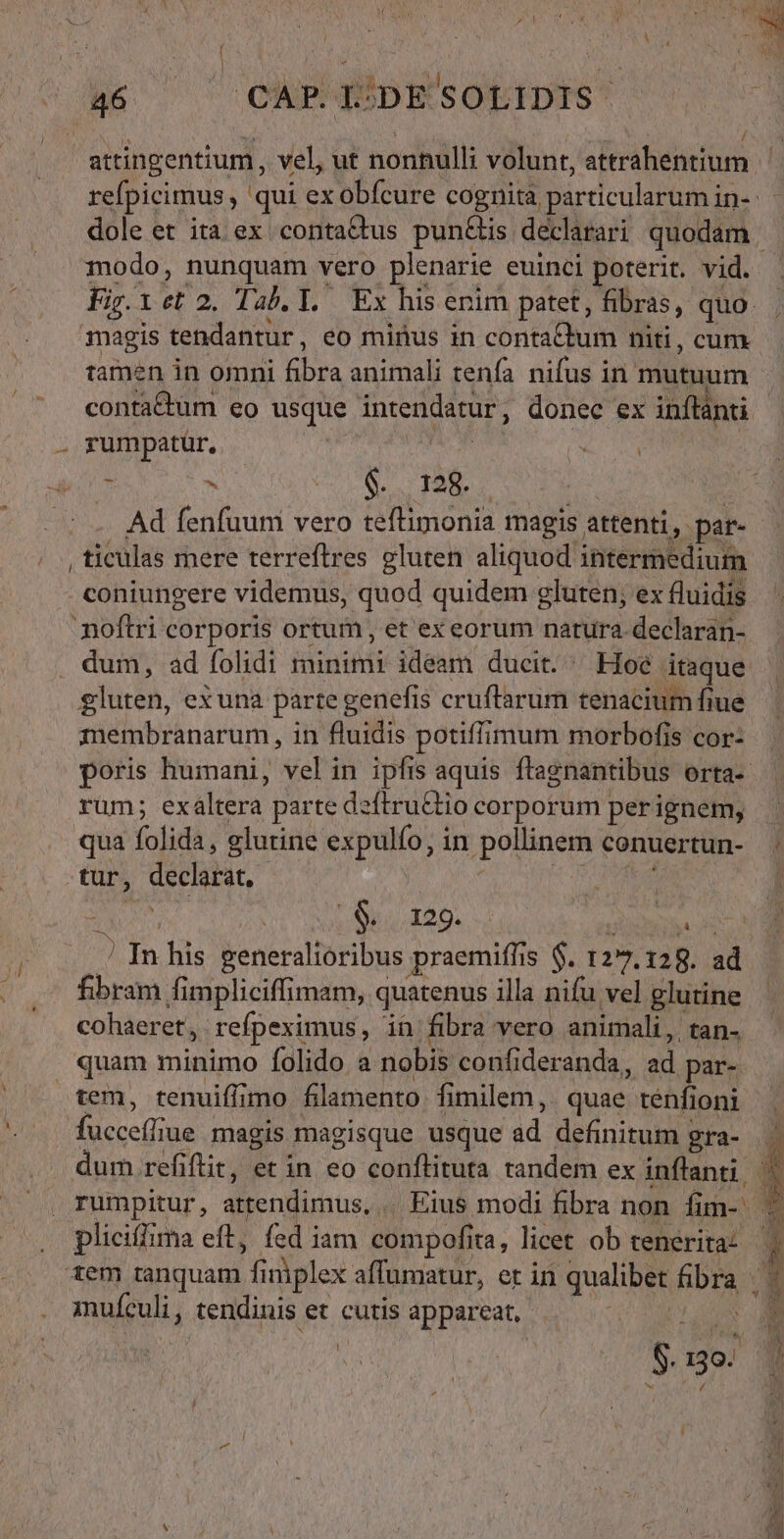 Y Srpsenetunp. vel, ut nonnulli volunt, attrahentium modo, nunquam vero plenarie euinci poterit. vid. tamen in omni MN. animali tenfa nifus in mutuum * : $. . 128. Ad fenfuuni vero teftimonia magis. attenti, par- , ticulas mere terreftres gluten aliquod intermedium coniungere videmus, quod quidem gluten; ex fluidis noftri corporis ortum, et ex eorum natura declaran- — dum, ad folidi minimi ideam ducit. ^ Hoe ig BS glireh, exuna parte genefis cruftarum tenacium fiue membranarum , in fluidis potiffi mum morbofis cor: rüm; ex Altera parte d2ftru£&amp;tio corporum per ignem, qua folidà ; glutine expulfo, in pollinem conuertun- tur, MM ; $129. Tn his generalioribus praemiffis $. 127, 2 id fibram fimpliciffimam, quatenus illa niíu vel glutine cohaeret, refpeximus,- in fibra vero animali, tan- quam minimo folido a nobis confideranda, ad par- tem, tenuiffimo filamento fimilem, quae renfioni fucceffi ue magis magisque usque ad definitum gra- dum.refiftit, et in eo conflituta tandem ex inflanti | tem tanquam fi i niplex affumatur, et in qualibet abr mufculi, tendinis et cutis appareat, hs