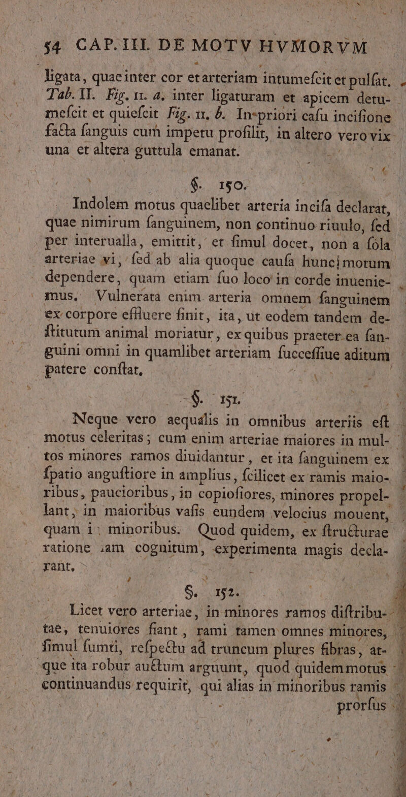 Pe IE SNG 1 ua $4 CAP.IIL DE MOTV HVMORVM ligata, quaeinter cor etarteriam intumefcitet pulat, . Tab.1L. Fig.1. 4. inter ligaturam et apicem detu- mefcit et quiefcit Fig. 11, &amp;.. In-priori cafu incifione- fa&amp;ia fanguis cum impetu profilit, in altero verovix una et altera guttula emanat. t PROS 4 An. ; $. r$0. ML ls Indolem motus quaelibet arteria incifa declarat, - quae nimirum fanguinem, non continuo riuulo, fed per interualla, emittit, et fimul docet, non a (ola arteriae vi, fed ab alia quoque caufa liunci motum. dependere, quam etiam fuo loco in corde inuenie- , mus, Vulnerata enim arteria omnem fanguinem ex corpore effluere finit, ita, ut eodem tandem de- ftitutum animal moriatur, ex quibus praeter ea fan- guini omni in quamlibet arteriam fucceffiue aditum patere conflat, o Neque vero aequalis in omnibus arteriis eft : motus celeritas; cum enim arteriae rnaiores in mul- tos minores ramos diuidantur , etita fanguinem ex ' fpatio angufliore in amplius, fcilicet ex ramis maio- ribus, paucioribus, in copiofiores, minores propel- ' lant, in maioribus vafis eundem velocius mouent, | quam i; minoribus. Quod quidem, ex flru&amp;turae ratione .am cognitum, experimenta magis decla- rant, ua ^ we  AO i j SDN CEA j . Licet vero arteriae, in minores ramos diftribu- tae, tenuiores fint, rami tamen omnes minores, 1 fimul fumti, refpe&amp;u ad truncum plures fibras, at- [ 'que ita robur au&amp;tum arguunt, quod quidem motus -- continuandus requirit, qui alias in minoribus ramis i | » prorfus « A po