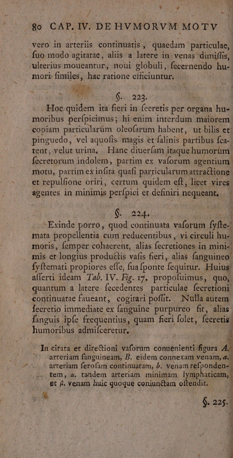 do - o» / m vero in arteriis continuaris » quaedam. particulae, : DONE 6... 223. Mies T osi ita fieri in fecretis per organa hu- moribus per(picimus; hi enim interdum maiorem. copiam particularüm oleofarum habent, ut bilis et: pinguedo, vel aquofis. ttagis et falinis partibus fca- tent; velut urina, | Hanc diueríam itaque humorüm. fecrerorum indolem, partim ex vaforum agentium motu, partim ex infita quafi parricularumattra&amp;ione. et repulfione oriri, certum. quidem eff, licet vires agentes in minimis perfpici er definiri nequeant, [ € 4 g. 224. ; id -Exinde porro, quod continuata vaforum fyfte-' moris, femper cohaerent, alias fecretiatenin mini« mis et longius produ&amp;tis vafis fieri, alias fanguineo' fyftemati propiores effe, fua fponte fequitur. Huius! afferti ideam Ta. IV. Fig. 17. propofuimus, quo, quantum à latere fecedentes particulae fecretioni. fecretio immediate ex fanguine purpureo fit, alias fanguis ipfe frequentius, quam fieri folet, feretis. In.citata et dire&amp;ioni vaforum conuenienti. lonia a arteriam fanguineam, B. eidem connexam venam, a. arteriam fetofan continuatam, 5. venam refponden | tem, 4, tandem arteriam minimam lymphaticam, | et e venam huic guoque coniunctam oid (d din $. 225.