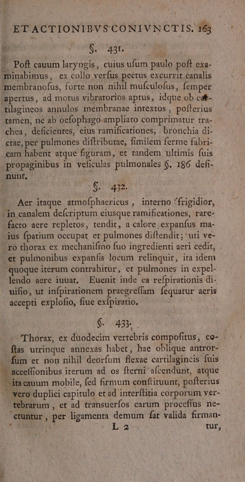 | | , | | A : ul - ETACTIONIBVSCONIVNCTIS, 163 /'- | iue: Pol it ud «. Poft cauum larypgis, cuius ufum paulo poft exa- minabimus, ex collo verfus pectus excurrit canalis UM mémbranofus, forte non nihil mufculofus, femper 'apertus, ad motus vibratorios aptus, idque ob ca- Tmilagineos annulos membranae intextos , poflerius tamen, ne ab oefophago-ampliato comprimatur tra-. chea, deficientes, eius ramificationes, bronchia di- ctae, per pulmones diftributae, fimilem ferme fabri- .«am habent atque figuram, et tandem ultimis fuis propaginibus in veficulas pulmonales $. 186 defi- nunt, ^ - | E $. 4. - Aer itaque atmofphaericus , interno frigidior, -in.canalem defcriptum eiusque ramificationes, rare- facto aere repletos, tendit, a calore expanfus ma- ius fpatium occupat et pulmones diftendit; *uti ve- |. ro thorax ex mechanifmo fuo ingredienti aeri cedir, .et pulmonibus expanfis locum relinquit, ira idem quoque iterum contrahitur, et pulmones in expel- . Jendo aere iuuat. Euenit inde ea refpirationis di- uifio, ut infpirationem praegreffam fequatur aeris - accepti explofio, fiue exfpiratio, Sad) $. 43» . -- Thorax, ex duodecim vertebris compofitus, co- flas utrinque annexas habet, hae oblique antror- - fum et hon nihil deorfum flexae cartilagincis fuis ^? aceeffionibus iterum ad os fterni afcenduünt, atque ita cauum mobile, fed firmum confiituunt, pofterius -. vero duplici capitulo et ad interílitia corporum ver- tebrarum , et ad transuerfos earum proceflus ne- cuntur, per ligamenta demum fat valida firman- T NEIN QNS Lg uad eitd -