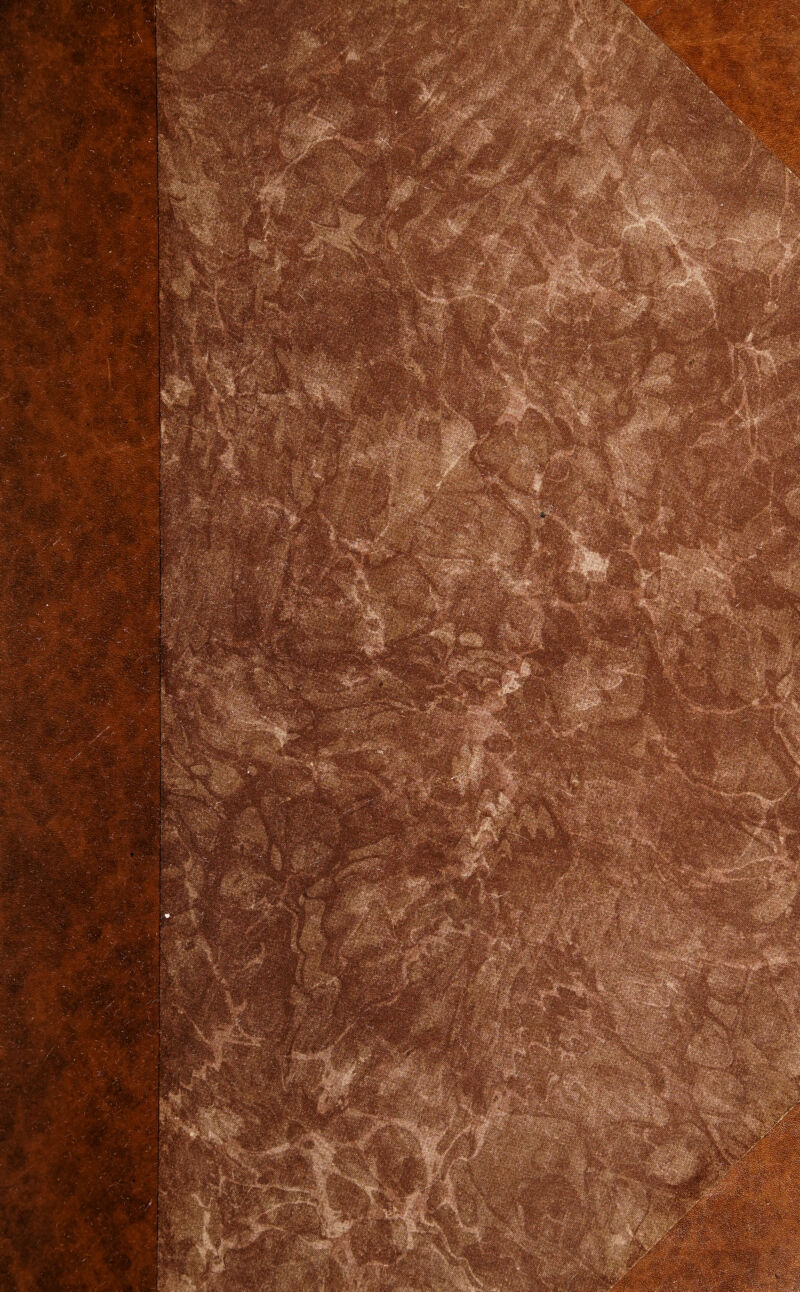 i liilÉllÉil - •>\ -y. jf ' '*É!'P-*W'*g ' • '• fet» &Æ ?4$&W, iriaSî; ûsæÿ* >.;-. •«;»&.*;••< gpBaas T? - T-,i ï$.ït'^'‘ ■*