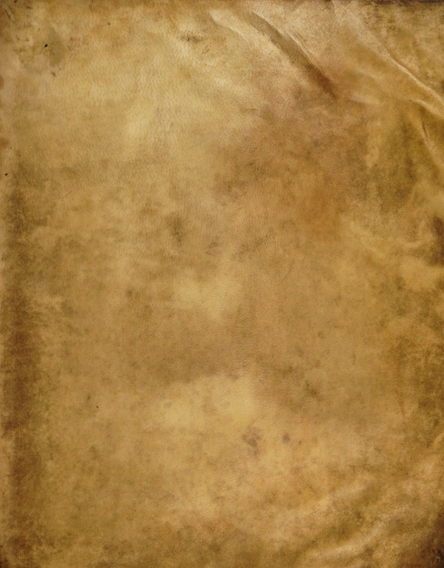 No text description is available for this image