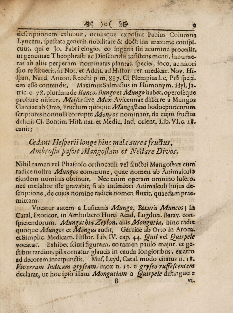 __m )p( _0 defcriptionem exhibuit, oculisqus expofuic Fabius Columna Lynceus, (pedata generis nobilitate & dodrina maxime confpi- cuus, qui e Jo* Fabri elogio, eo ingenii Fui acumine proodllc* ucgenuinae Theophrafti ac DioFcoridis infiftens menti, innume¬ ras ab aliis perperam nominatas plantas, fpeciei, loco, ac nitori fuo refticueri-c, in Nor, et Addic» ad Hiffor. rer. medicar. Nov. Hi- fpan. Nard. Anton.Recchi p. m, S37*C1. Piempiushc, Pifi Fpeci- cm die contendit* MaximusSalmafius in Homonym. Hyh Ja- tric. e. 7 8. plurima de Burico, Bungo et Adungo habet, operofeque probare nititur# Adtijceiivc Adex A vicennae differre a Mungos Garciae ab Orco, Frudum quoque Adangoftam hodoeporicorum feriptores nonnulli corrupte Adongos nominant, de cujus frudu* deliciis Cl. Bonnus Hifh nat, et Medie* Ind, oriens Lib« VI. c. it* canit; Ceddnt Hefperii longe hinc mala diiredfruUuSy Ambrofia pafcit Alango/Iam et Necare Divos* Nihil tamen vel Phafeolo orchocauli vel frudui Mangoftati ctim radice nofira Adungos eomoume, quae nomen ab Animalculo ejusdem nominis obtinuit* Nec enim operam omnino lufero» nee me labor iffe gravabit, (i ab intimiori Animalculi hujus de- Fcriptione, de cujus nomine radicis nomen fluxit, quaedam prae¬ mittam. Vocatur autem a LuFicanis Alungo, Batavis Aduncos i in Catal, Exocicor* in Ambulacro Horti Acad. Lugdun. Bacav. con- fpiciendorum. AdungathiaZeylon* aliis Mongutia, hinc radix quoque Adungos et Adongus audit, Garciae ab Orto in Arora. etSimplic. Medicam. Hiftor. Lib. IV. cap* 44. Quii vel Quirpele vocatur. Exhibet fciuri figuram, eo tamen paulo major, et gc- ftibus tardior, pilis ornatur glaucis in cauda longioribus, ex atro ad decorem interpundis. MuF Leyd, Catal. modo citatus n* 18* Viverram Indicam gryfeam, mox n. 19. e gryfeo ruffefeentem declarat, ut hocipfo illam Adongutiam a Quirpele diftinguerc B vL,