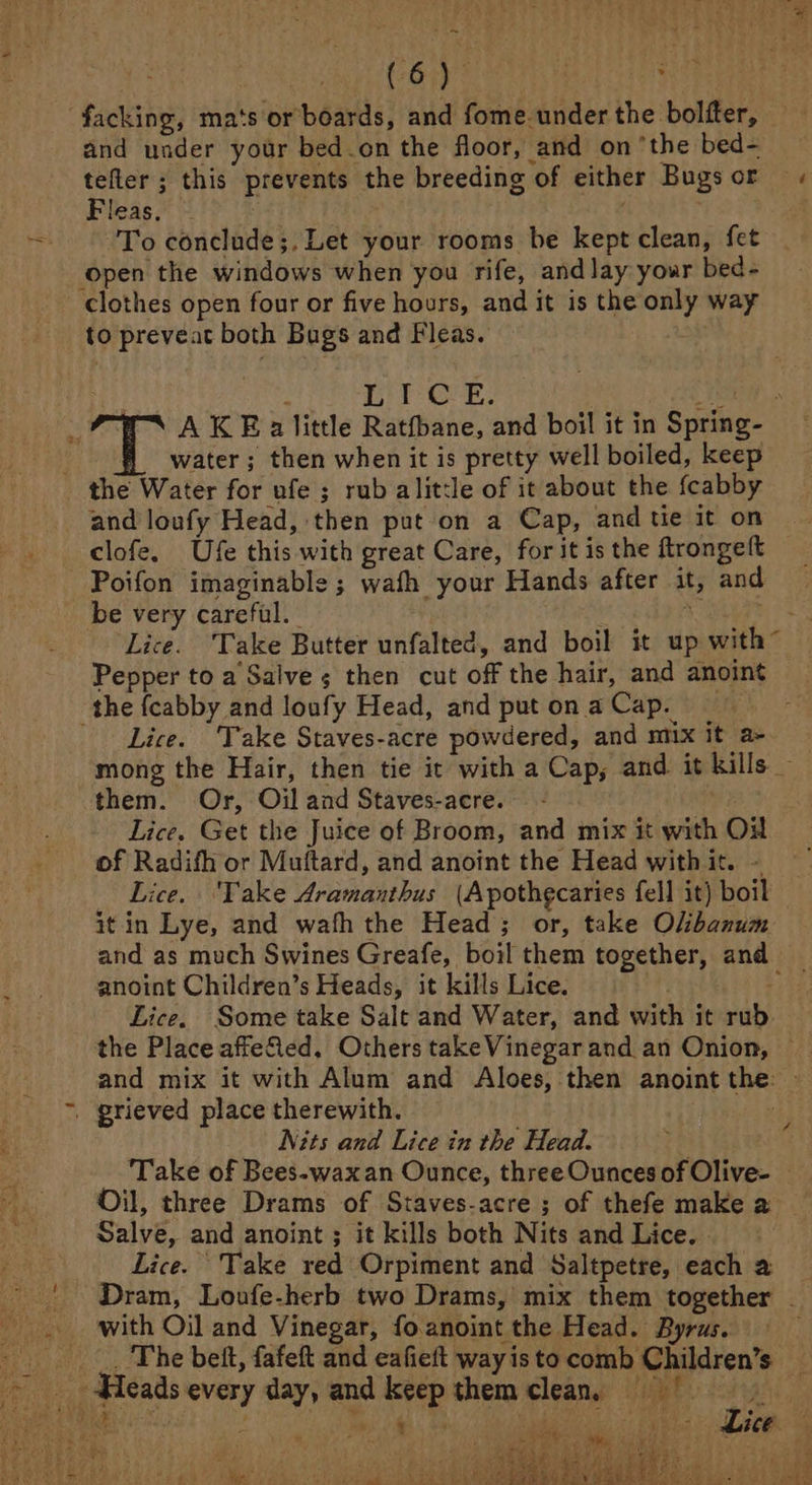 facking, ma‘s or boards, and fome-under the bolfter, and under your bed.on the floor, and on ‘the bed- tefler; this prevents the breeding of either Bugsor « Fleas, : | To conclude;, Let your rooms be kept clean, fet ‘Open the windows when you rife, and lay your bed- clothes open four or five hours, and it is the only way to preveat both Bugs and Fleas. | . Pit Ge: Le : A KE alittle Ratfbane, and boil it in Spring- i water; then when it is pretty well boiled, keep the Water for ufe ; rub alitcde of it about the fcabby and loufy Head, then put on a Cap, and tie it on | clofe, Ufe this with great Care, for it is the ftrongeft Poifon imaginable ; wath your Hands after it, and be very careful. Beet) &gt; Lice. Take Butter unfalted, and boil it up with” Pepper to a Salve ; then cut off the hair, and anoint the fcabby and loufy Head, and putonaCap. Lice. ‘Take Staves-acre powdered, and mx it a- mong the Hair, then tie it with a Cap, and it kills them. Or, Oil and Staves-acre.~ - | Lice. Get the Juice of Broom, and mix it with Ou of Radifh or Muftard, and anoint the Head with it. - Lice. Take Aramanthus (Apothgcaries fell it) boil it in Lye, and wath the Head; or, take Okibanum and as much Swines Greafe, boil them together, and _ anoint Children’s Heads, it kills Lice. = Lice. Some take Salt and Water, and with it rub the Place affeled, Others take Vinegar and an Onion, — and mix it with Alum and Aloes, then anoint the: — . grieved place therewith. 4] Nits and Lice in the Head. te Take of Bees-waxan Ounce, three Ounces of Olive- Oil, three Drams of Staves-acre ; of thefe make a Salve, and anoint ; it kills both Nits and Lice. Lice. Take red Orpiment and Saltpetre, each a ‘| Dram, Loufe-herb two Drams, mix them together - with Oil and Vinegar, fo.anoint the Head. Byrus. .. The beft, fafeft and eafieft way is to comb Children’s ane, q aie Wit aS oF : rw | 4% Goa ae ease Aa Lice hy , pte eh) 2 he ie Bia iat : Mie mine | P