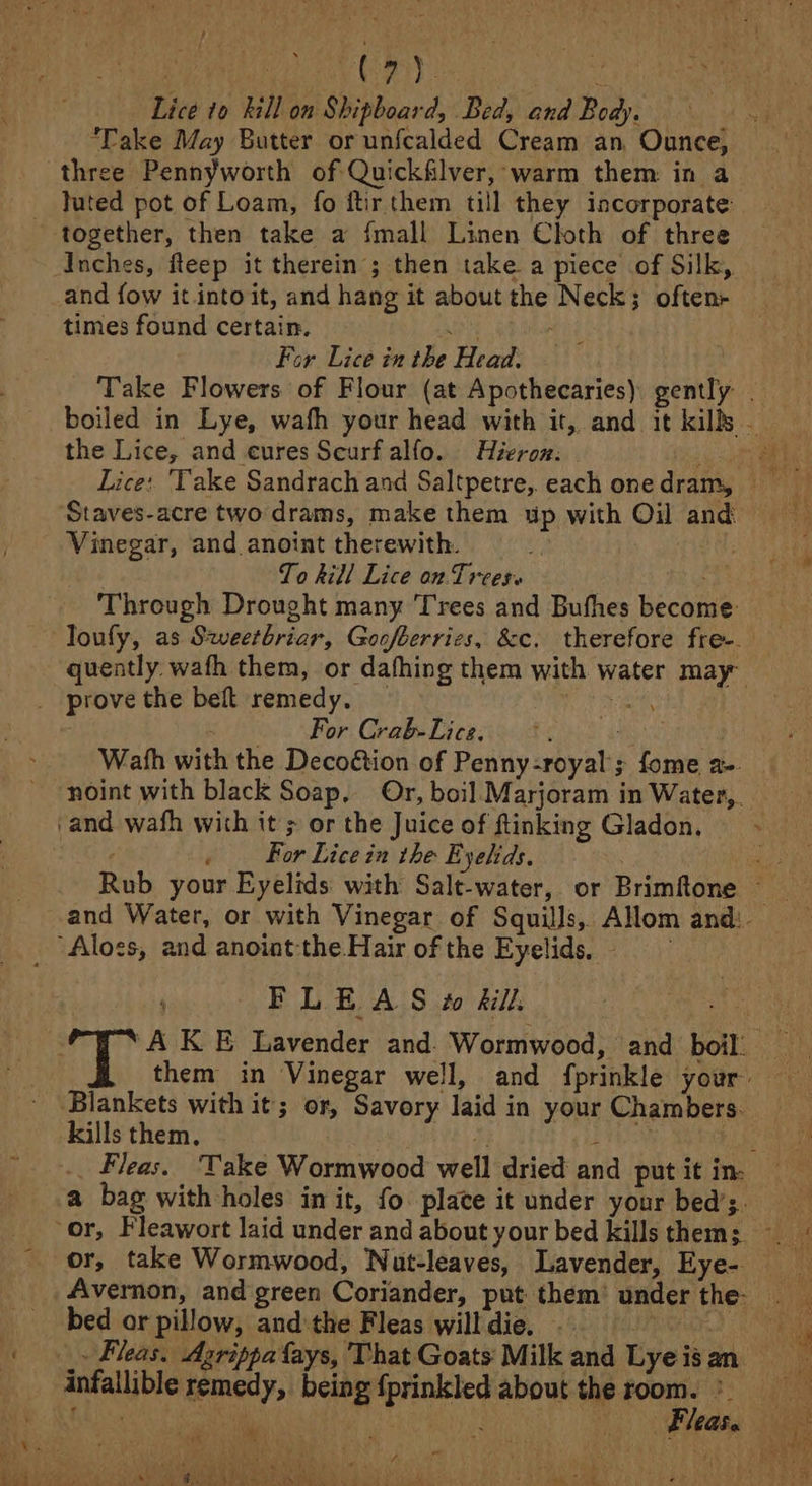 Lice to Rill on Shipboard, Bed, and Body. Take May Butter or unfcalded Cream an, Ounce, three Pennyworth of Quickfilver, warm them in a buted pot of Loam, fo ftir them till they incorporate Inches, fleep it therein ; then take a piece of Silk, and fow it into it, and hang it about the Neck; often times found certain. ' For Lice in the Head. the Lice, and cures Scurf alfo. Hieron: Vinegar, and anoint therewith. 4 To kill Lice on. Trees. | Through Drought many Trees and Bufhes become: pnw Wor, Grobe calito t Wath with the Decoétion of Penny-royal’; fome a-. ; For Lice in the E ‘yelids. FLEAS #o &amp;ill. eae kills them. or, take Wormwood, Nut-leaves, Lavender, Eye- bed or pillow, and the Fleas will die. ; infallible remedy, being {prinkled about the room. *» ~- fi f \ * A an Ve Um RN ee aa De he ced oo y et) aS
