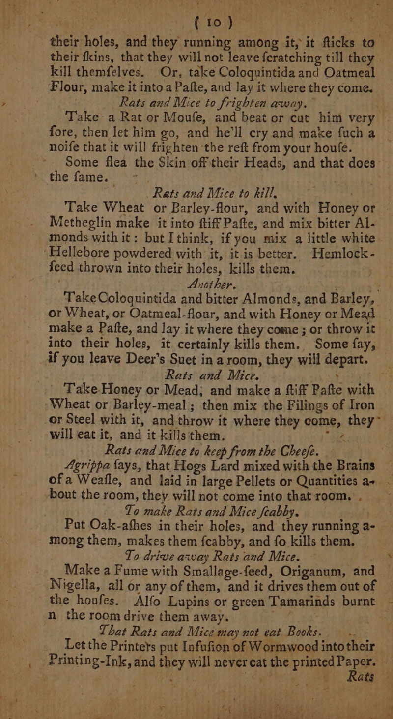 ee OR £5 | ae their holes, and they running among it, it flicks to — their fkins, that they will not leave {cratching till they | kill themfelves. Or, take Coloquintida and Oatmeal Flour, make it intoa Pafte, and lay it where they come. : Rats and Mice to frighten away. . Take a Rat or Moufe, and beat or cut him very fore, then let him go, and he'll cry and make fucha — noife that it will frighten the reft from your houfe. Some flea the Skin off their Heads, and that does the fame. *\= Rats and Mice to kill, $ Take Wheat or Barley-flour, and with Honey or Metheglin make it into ftiff Pafte, and mix bitter Al- monds with it: but I think, if you mix. a little white “Hellebore powdered with it, it is better. -Hemlock- feed thrown into their holes, kills them. ; Another. so Nes * Take Coloquintida and bitter Almonds, and Barley, or Wheat, or Oatmeal-flour, and with Honey or Me . make a Pafte, and lay it where they come; or throw it into their holes, it certainly kills them. Some fay, if you leave Deer’s Suet in a room, they will depart. ‘Rats and Mice. piitoit P4 Take-Honey or Mead; and make a ftiff Pafte with Wheat or Barley-meal ; then mix the Filings of Iron or Steel with it, and throw it where they come, they~ will eat it, and it kills them. oes Rats and Mice ta keep from the Cheefe. . Agrippa {ays, that Hogs Lard mixed with the Brains ofa Weafle, and laid in large Pellets or Quantities a- . bout the room, they will not come into that room. . To make Rats and Mice feabby, = Put Oak-afhes in their holes, and they running a- mong them, makes them fcabby, and fo kills them. — To drive away Rats and Mice. — Make a Fume with Smallage-feed, Origanum, and Nigella, all or any of them, and it drives them out of the houfes. Alfo Lupins or green Tamarinds burnt - n the room drive them away. oe at . That Rats and Mice may not eat Books. ; __ Let the Printets put Infufion of Wormwood intotheir _, | Printing-Ink, and they will never eat the ia See / ry ean h acer a ate ~ ; ‘ , Fok &gt; Rai ve 4 F 4 pratt ; ; i eee Sales fe} err &amp; aie A ef + 2 Ae ie Reha heel 6: SN ae | ee eee,