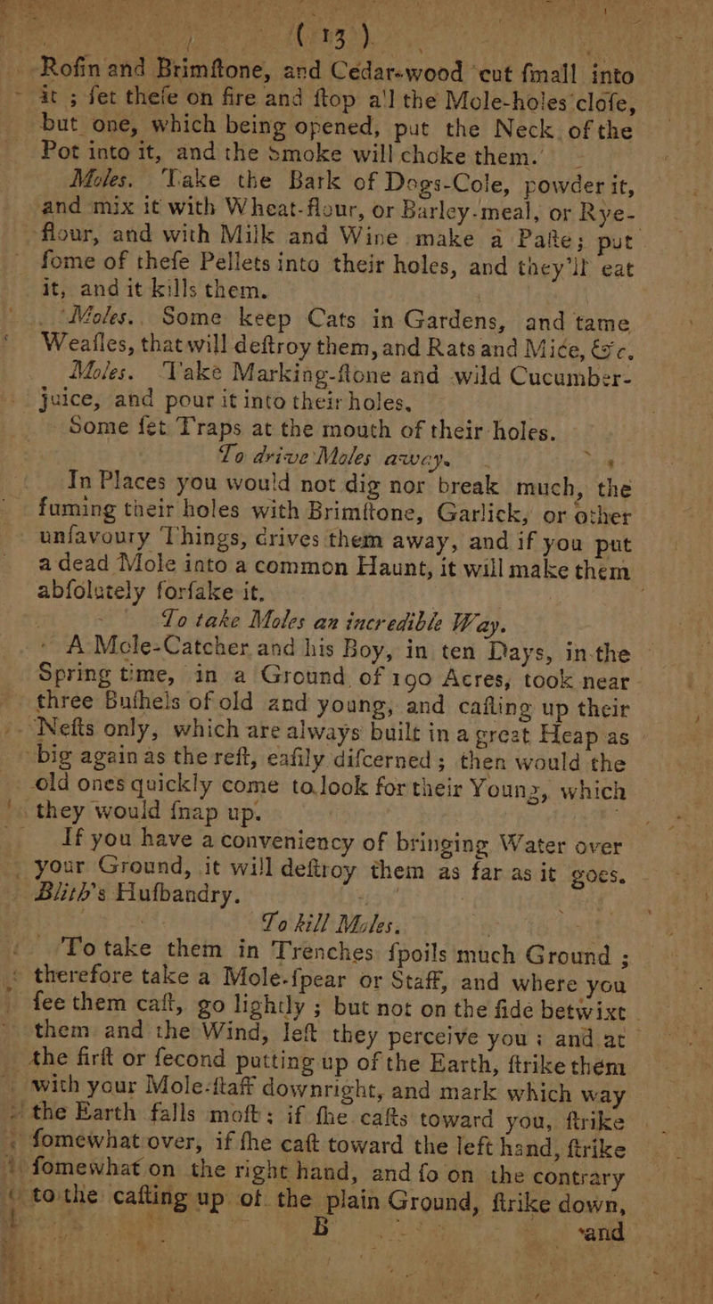 ita te ACIS. ; _-Rofin and Brimftone, and Cedarwood ‘eut finall into it ; fet thefe on fire and ftop a'] the Mole-holes clofe, but one, which being opened, put the Neck of the Pot into it, and the smoke will choke them. Moles, ‘Vake the Batk of Dogs-Cole, powder it, and mix it with Wheat-flour, or Barley-meal, or Rye- flour, and with Milk and Wine make a Pake; put _ fome of thefe Pellets into their holes, and theyll eat it, and it kills them. . | __Moles.. Some keep Cats in Gardens, and tame Weafles, that will deftroy them, and Rats and Mice, és. Moles. ake Marking-flone and wild Cucumber- jice, and pour it into their holes, » Some fet Traps at the mouth of their holes. To drive Moles away. ya In Places you would not dig nor break much, the fuming taeir holes with Brimftone, Garlick, or other unfavoury Things, crives them away, and if you put a dead Mole into a common Haunt, it will make them abfolutely forfake it. ? _ Lo take Moles an incredible Way. » A Mcle-Catcher and his Boy, in ten Days, inthe Spring tme, in a Ground of 190 Acres, took near- three Buthels of old and young, and cafling up their Nefts only, which are always built in a great Heap as big again as the reft, eafily difcerned; then would the old ones quickly come to look for their Younz, which they would {nap up. en _ If you have a conveniency of bringing Water over -. your Ground, it will defiroy them as far as it goes. - . Biurh’s Hufbandry. ’ : To hill Moles. ; To take them in Trenches fpoils much Ground ; ‘ therefore take a Mole-fpear or Staff, and where you fee them caft, go lightly ; but not on the fide betwixt _ them and the Wind, left they perceive you: and at the firft or fecond putting up of the Earth, ftrike them _ with your Mole-ftaf downright, and mark which way » the Earth falls moft; if the cas toward you, ftrike , fomewhat over, if fhe caf toward the lef hand, ftrike ‘ fomewhat on the right hand, and fo on the contrary « tothe cafting up of the plain Ground, firike down, i; + ht hee