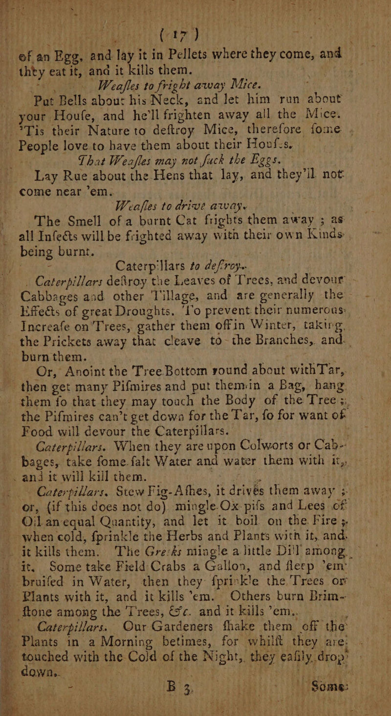 LUTE Bd ates an of an Egg, and. lay it in Pellets where they come, and | ii - Weafles to fright away Mice. Put Bells abour his Neck, and Jet him run about That Weafles may not fuck the Eggs. Lay Rue about the Hens that lay, and they'll not: come near ’em.. Weafles to drive away. : The Smell of a burnt Cat frights them away ; as all Infeéts will be frighted away with their own Kinds being burnt. . meat aa Caterpillars to def'roy.. : _ Caterpillars defroy the Leaves of Trees, and devour’ - Cabbages and other Tillage, and are generally the Effects of great Droughts. ‘To prevent their numerous: bumthem. : (a Or, Anoint the Tree Bottom round about withTar,. the Pifmires can’t get dowa for the Tar, fo for want of Food will devour the Caterpillars. } Caterpillars. When they are upon Colworts or Cab- bages, take fome falt Water and water them with it,, Caterpillars. Stew Fig-Athes, it drives them away ; or, (if this does not do) mingle Ox-pifs and Lees of Ojl an equal Quantity, and let it boil on the. Fire ; it. Some take Field Crabs a Gallon, and fleep ‘em bruifed in Water, then they fprinkle the, Trees or erent s eS tove de) it Some: ee Pie