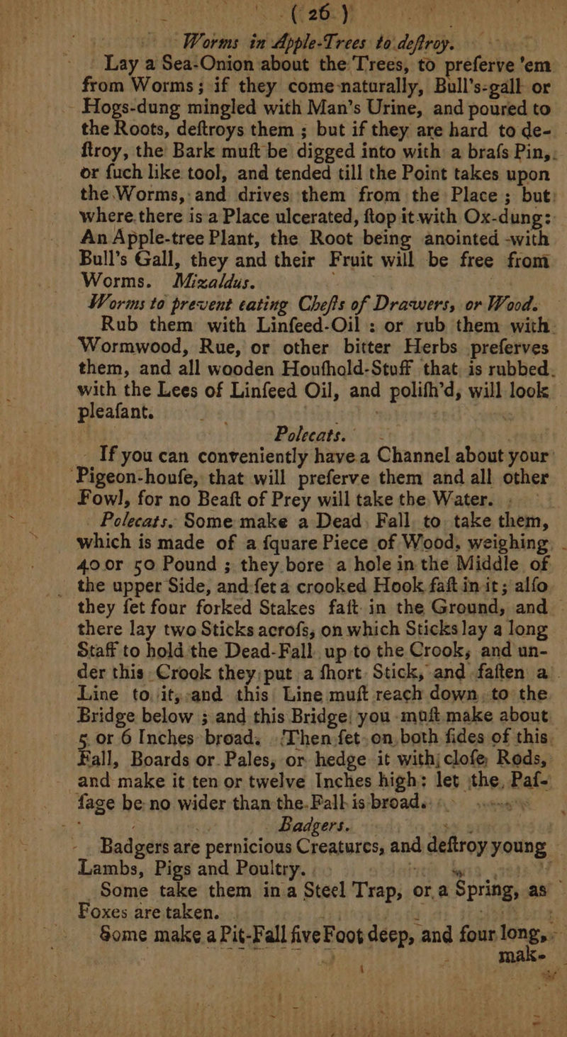 een 69 K ‘Worms in Apple-Trees to deftroy. | - Lay a Sea-Onion about the Trees, to preferve ’em from Worms; if they come-naturally, Bull’s-gall or Hogs-dung mingled with Man’s Urine, and poured to the Roots, deftroys them ; but if they are hard tode- _ ftroy, the’ Bark muft be digged into with a brafs Pin, or fuch like tool, and tended till the Point takes upon the Worms, and drives them from the Place ; but: where. there is a Place ulcerated, ftop it with Ox-dung:. An Apple-tree Plant, the Root being anointed -with Bull’s Gall, they and their Fruit will be free from Worms. Mizaldus. | Worms to prevent eating Chefs of Drawers, or Wood. Rub them with Linfeed-Oil : or rub them with. Wormwood, Rue, or other bitter Herbs preferves them, and all wooden Houfhold-Stuff that. is rubbed. with the Lees of Linfeed Oil, and polifh’d, will look pleafant. ee, eel it, “oa fe rai | Polecats.' - _ If you can conveniently havea Channel about your’ ‘Pigeon-houfe, that will preferve them and all other Fowl, for no Beaft of Prey will take the Water. - Polecats. Some make a Dead, Fall. to. take them, which is made of a fquare Piece of Wood, weighing. - 40.0r 50 Pound ; they bore a hole in the Middle of _ the upper Side, and:fet a crooked Hook faftin it; alfo they fet four forked Stakes faft-in the Ground, and — there lay two Sticks acrofs, on which Sticks lay a long Staff to hold the Dead-Fall up to the Crook, and un- der this Crook they: put a short: Stick, and -faften a. Line to. it,;:and this’ Line muft reach down, to the Bridge below ; and this Bridge; you muft.make about 5. or 6 Inches broad. .‘Then,fet. on, both fides of this. Fall, Boards or. Pales; or hedge it withjclofe Rods, and make it ten or twelve Inches high: let ithe, Paf- a Badgers. 338s Badgers are pernicious Creatures, and deftroy young — Lambs, Pigs and Poultry. ee Pe a Some take them ina Steel Trap, or.a Spring, as Foxes are taken. . Listeyiisa cy wih : Some make a Pit-Fall five Foot deep, and four long, Fe EE ae | 2 make i . ee.