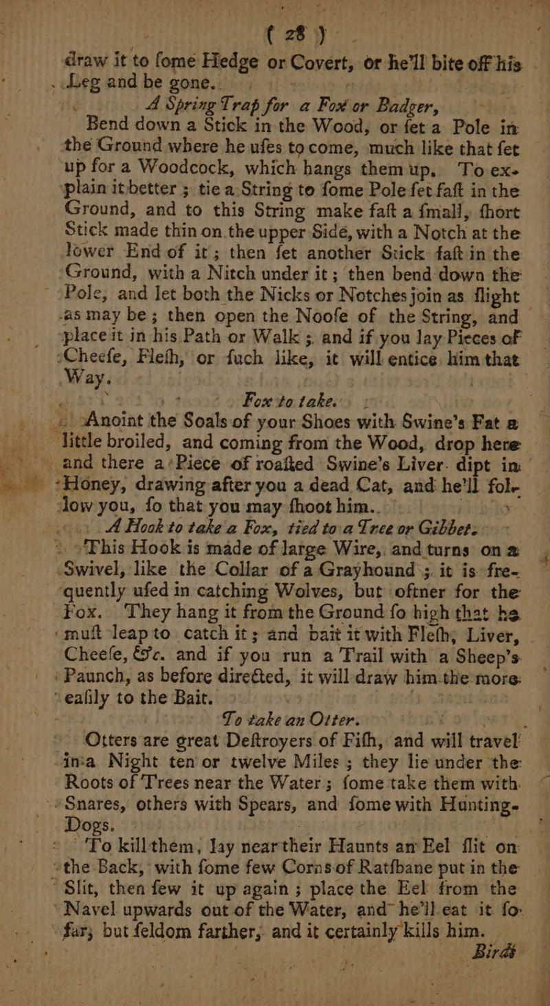 Cay” ( A Spring Trap for a Fox or Badger, - ; Bend down a Stick in the Wood, or fet a Pole in up for a Woodcock, which hangs them up, To ex- ‘plain itbetter 5 tie a String to fome Pole fet faft in the Ground, and to this String make faft a fmall, {hort Stick made thin on.the upper Side, with a Notch at the lower End of it; then fet another Stick faft in the Ground, with a Nitch under it; then bend down the ‘as may be; then open the Noofe of the String, and splace it in his Path or Walk ;. and if you lay Pieces of vCheefe, Fleth, or fuch like, it will entice, him that Way. - | , Fox to take. Pe hv Me little broiled, and coming from the Wood, drop here dow you, fo that you may fhoot him.. . 4 Hook to take a Fox, tied toa Tree or Gilbees Swivel, like the Collar of a Grayhound);. it is fre- ‘quently ufed in catching Wolves, but oftner for the Fox. They hang it from the Ground fo high that he Cheefe, &amp;c. and if you run a Trail with a Sheep’s ‘Paunch, as before direéted, it will draw him-the more: ‘eafily to the Bait. ! ane 7 To take an Otter. inta Night tenor twelve Miles ; they lie under the: Roots of Trees near the Water; fome take them with. Dogs. | . re « To killthem, Jay neartheir Haunts am Eel flit on “Slit, then few it up again; place the Eel from the ‘Navel upwards out of the Water, and he'll eat it fo