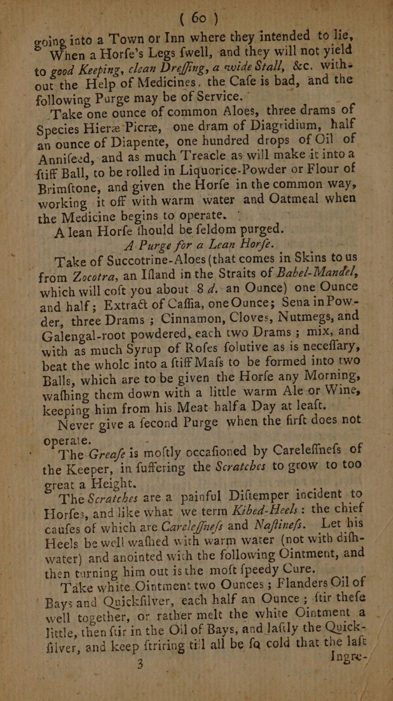 ae (epee bien going into a Town or Inn where they intended to lie, hen a Horfe’s Legs fwell, and they will not yield to good Keeping, clean Dreffing, a wide Stall, &amp;c. withs out the Help of Medicines, the Cafe is bad, and the - following Purge may be of Service.” % ‘Take one ounce of common Aloes, three drams of Species Hier Picre, one dram of Diagridium, half an ounce of Diapente, one hundred drops of Oil of Annifeed, and as much Treacle as will make it into a Stiff Ball, to be rolled in Liquorice-Powder or F lour of Brimftone, and given the Horfe in the common way, working it off with warm water and Oatmeal when the Medicine begins to operate. ©. A lean Horfe thould be feldom purged. A Purge for a Lean Horfe. . Take of Succotrine-Aloes (that comes in Skins to us from Zocetra, an Ifland inthe Straits of Babel-Mandel, _ which will coft you about 8 ¢.-an Ounce) one Ounce der, three Drams ; Cinnamon, Cloves, Nutmegs, and Galengal-root powdered, each two Drams ; mix, and Balls, which are to be given the Horfe any Morning, wafhing them down with a little warm Ale or Wine, keeping him from his Meat halfa Day at leaft. » Never give a fecond Purge when the firft does not operate. ‘ ; The-Grea/e is moftly occafioned by Careleffnefs of great a Height. whe Scratches are a painful Diftemper incident to | Horfes, andlike what we term Kibed-Heels: the chief caufes of which are Carelefine/s and Naftinefs. Let his Heels be well wafhed with warm water (not with difh- water) and anointed wich the following Ointment, and then turning him out isthe moft {peedy Cure, Take white-Ointment two Ounces ; Flanders Oil of well together, or rather melt the white Ointment a little, then {tir in the Oil of Bays, and lafily the Quick- filver, and keep ftriring til all be fa cold that the laft ag  i £ ta Sie