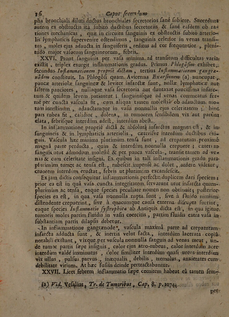 - . P d - 16. | wo seOapur. fecundum. autem ex obíttu&amp;is ità. fubito. ductibus. fecretoriis. &amp;. fané eafdem ob ra? tiones mechanicas , quz, in circuitu fanguinis ex obftru&amp;is. fubitó arterios lis lyrnphaticis fupervenire oftendimus , fanguinis celerior in venas tranfi-- tus , moles ejus adaucta. in fanguiferis , reditus ad. cor frequentior. ,. pleni-- tüdo , major vaferum fanguineorum,, febris.. paucz arteriola (anguinez &amp; leviter infaréte. funt, nolle. lgmphatice. aue falten pauciores. , nullaque vafa fecretoria aut duntaxat pauciffima infarc-. tum.&amp; qaidem. levem. patiuntur. 5. fanguinifque ad.venas commeatus. fer« mé per cuncta vaícala fir, cum. aliqua. tamen moleftià^ ob adauctum. mo tum inteftinim ,' adauctamque in. vais nonnullis ejus celeritatem ;.^ hinc: pars rubea fit ,. calidior , dolens, in tumorem fenfibilem vix /aut. pati; elata , febrifque ipnterdiim. adeft, interdüim abeft. , - In infífammatione proprie di&amp;dà &amp; abfolutà infar&amp;üs magnuscft, &amp; in: fanguineis &amp; in. lymphaticis arteriolis., czrerifve interdum- ductibus exi- guis. Vaícula hae minima. plurimüm, tenfa funt. , ad crepatutam.proximé magná parte perdn&amp;ta., quin. &amp; interd?m) nonnulla crepuere 5. cater m» fanguis utut. admodum. molefté &amp; per. pauca. vafcula-, tranfit tamen ad -ve« nis &amp; cam. celeritate infigni. Ex.quibus in tali inflammauonis. gradu. pare ctuorem interdüm. eructar., febris ut plurimiim excandefcit.; , Ex jam dictis confequitur. inflammationis.perfedtz; duplicem dari fpeciem ; plutimüm ac tenfa, eaque fpecies peculiare nomen non obtinuits pofteriop fpecies ea eft, in qua. vafa nonnulla rupta. funt^, five à fluido nimiüm:. diftendente crepuerint,, five. à. quacumque caufa externa. difrupta fucrint; eaque fpecies. In fl ammatio fyflzophica ab Antiquis dicta eft, 1n. qua igitur. fübftantiam partis dilapfis debetur.. infatctu addu&amp;a funt , &amp; inertia velut fa&amp;a., interdüm lacerata | copiá. notabili exiftunr , vixque.per.vafcula nonnulla fanguis ad. venas meat , un. . interdum valdé imminutgs , color fimiliter. interdüm quafi -urecssinterdiumn debilitare virium, At hzc faüiüs deinde pettra&amp;abuntur. |... |. 8) Fi4, Nelalius , Tr. de T'umaribus , Cap, 8 peaozagois o od vs 2 24 - / : p^ ; - D t 4 ; pet ^ a Y :