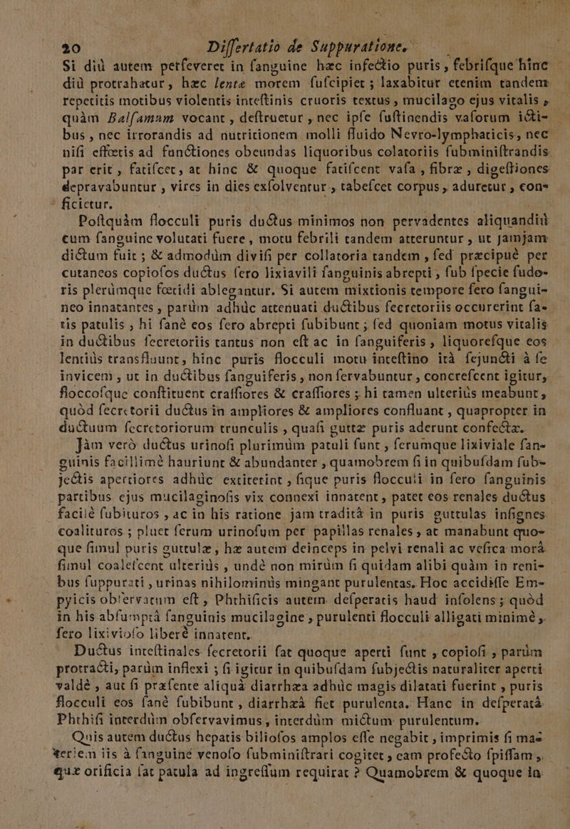 Si dii autem petfeveret in fanguine hzc infectio puris, febrifque hine - diü protrahatur, hzc leste morem fufcipiet 5 laxabitur etenim tandenr- repetitis motibus violentis inteftinis cruoris textus , rnucilago ejus vitalis ;.— quàm Balfamam vocant , deftruetur , nec ipfe fuftinendis vaforum i&amp;i- — bus , nec irrorandis ad nutritionem molli fluido Nevro-lymphaticis, nec nifi effoetis ad functiones obeundas liquoribus colatoriis fubminiftrandis par erit , fatifcet, at hioc &amp; quoque fatifcent vafa , fibrz , digefliones dcpravabuntur , vircs in dies exfolventur , tabefcet corpus , aduretut , cons ' ficictur. | | : Poftquàm flocculi puris ductus minimos non pervadentes aliquandii cum fanguine volutati fuere , motu febrili tandem atteruntur , ut Jamjam dictum fuit ; &amp; admodüm divifi per collatoria tandem , fed precipué per cutaneos copiofos ductus (ero lixiavili fanguinis abrepti ; fub fpecie fudo- ris plerümque fceridi ablegantur. Si autem mixtionis tempore fero fangui- neo innatantes , parüim adhiüc attenuati ductibus fecretoriis occurerint fa» tis patulis ; hi fané eos fero abrepti fubibunt ; fed quoniam motus vitalis in du&amp;tibus fecretoriis tantus non eft ac. in fanguiferis , liquorefque eos lentiüs transfluunt, hinc puris flocculi motu inteftino ità fejuncti à fe invicem , ut in du&amp;tibus fanguiferis ; non fervabuntur , concrefcent igitur, floccofque conftituent cratfiores &amp; craffiores ; hi tamen ulterius meabunt, quód fecrctorii ductus in ampliores &amp; ampliores confluant , quapropter in du&amp;tuum fecrctoriorum trunculis , quafi guttz puris aderunt confecta. Jàm veró ductus urinofi plurimum patuli funt , ferumque lixiviale fan- euinis facillimé hauriunt &amp; abundanter , quamobrem fi in quibufdam fub- Jectis apertiores adhüc' extitetint , ique puris floccuii in fero fanguinis partibus ejus mucilaeinofis vix connexi inpatent , patet eos renales ductus | facilé fubituros , ac in his ratione jam tradità in puris guttulas infignes coalituros ; pluet ferum urinofum per papillas renales , at manabunt quo-- que fimul puris guttulz , hz autem deinceps in pelvi renali ac vefica morà fiinul coaletcent ulteriüs , undé non mirüm fi quidam alibi quàm in reni- bus fuppurati ; urinas nihilominus mingant purulentas. Hoc accidiffe Em- . pyicis ob'ervarum eft , Phirhificis autern. defperaris haud. infolens; quód in his abfumpià fanguinis mucilagine ; purulenti flocculi alligati minimé ;. fero lixiviofo liberé innatent. - Ductus inteítinales fecretorii fat quoque aperti funt , copiofi ; parüm protracti, parüm inflexi ; fi igitur in quibufdam fubjectis naturaliter aperti valdé , aut fi pra(ente aliquà diarrhea adhiüc magis dilatati fuerint , puris flocculi eos fané fubibunt, diarthzà fiet purulenta. Hanc in defperatà Phthifi interdüm obfervavimus , interdum mictum: purulentum. |. Quis autem ductus hepatis biliofos amplos effe negabit ; imprimis fi mae Xeriem iis à fanguiné venofo fubminiítrari cogitet ; cam profecto fpiffam , ££ orificia [at patula ad ingreflum requirat ? Quamobrem &amp; quoque la