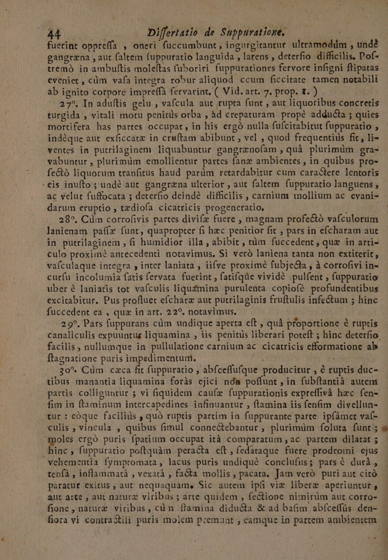 o L * dé. . tremó in ambultis moleftas fuboriri fuppurationes fervore infigni ftipatas eveniet, cüim vafa integra robur aliquod ccum ficcitate tamen notabili ab ignito corpore impreffà fervarint. ( Vid.art. 7. prop. 1. ) 27. In aduftis gelu , vafcula aut rupta funt , aut liquoribus concretis turgida , vitali motu penitüs orba , àd crepaturam propé adducta ; quies mortifera has partes occupat, in his ergó nulla fufcitabitut fuppuratio , indéque aut. exficcatz in cruftam abibupt , vel , quod frequentius fit, li- ventes in putrilagiaem liquabuntur gangrenofam , quà plurimüm gra- vabuntur , plurimüm emollientur pattes fanz ambientes , in quibus pro- fe&amp;ó liquorum ttanfitus haud parüm retardabirur cum cara&amp;lere lentoris : eis inufto ; undé aut. gangrana ulterior , aut faltem. fuppuratio languens ; ac velut fuffocata 5 deterfio deindé difficilis , carnium mollium ac evani- darum eruptio , tzdiofa cicatricis progeneratio, | : , n 28^. Ciim corrofivis partes divi(z fuere , maenam profectó vafculorum lanienam paífz funt, quapropter fi hzc penitior fit , pars in efcharam aut in putrilaginem , fi humidier illa, abibit , tàm fuccedent , quz in arti- culo proximé antecedenti notavimus, Si veró laniena tanta non extiterit, vaículaque integra , inter laniata , iifve proxime fubjeóta , à corrofivi in- curfu incolumia fatis fervata fuerint , fatifqüe vividé pulfent ; fuppuratio uber é laniaris tot vafculis liquZmina purulenta copiofé profundentibus excitabitur. Pus profluet efcharz aut putrilaginis fruftulis infe&amp;tum ; hinc fuccedent ea , qua in art. 22?. notavimus. 29^. Pars fuppurans cüm undique aperta eft , quà proportione 6 ruptis gangtzna , auc faltem fuppuratio languida , larens , deterfio difficilis. Pof- facilis , nullumque in pullulatione carnium ac cicatricis efformatione ab ftagnatione puris impedimentum. m 30*. Cüm caca fit fuppuratio , abfceffufque producitur , é ruptis duc-. tibus manantia liquamina foràs ejici ndm poflunt , in fubftantià autem partis colliguntur 5 vi fiquidem caufz fuppurationis expreffivà hec fen- fim in ftaminum intercapedines iafinuantur , ftamina iis fenfim. divellun- tur : eóque faciliüs , quó ruptis parcim ia fuppurante parte. ipfàmet vaí- culis ; vincula , quibus fimul conne&amp;tebantur , plurimüm foluta funt; moles ergó puris fpatium occupat ità comparatum , ac partem dilatat ; hinc , fuppuratio poftquàm. peracta eft, fedataque fuere prodromi ejus vehementia fymptomata, lacus puris undiqué conclufus; pars 6 durà , tepfà , iaflammatà , vexatà , facta mollis , pacata. Jam veró puti aut citó paratur exitus ; aut nequaquàme Sic aurem ipfi viz liberz aperiuntur , aut arte , au: naturz viribus ; arte quidem , fectione nimirüm aut corro- fiora vi conuastili puris moiem p:emunt ; eamque in partem ambientem Mo