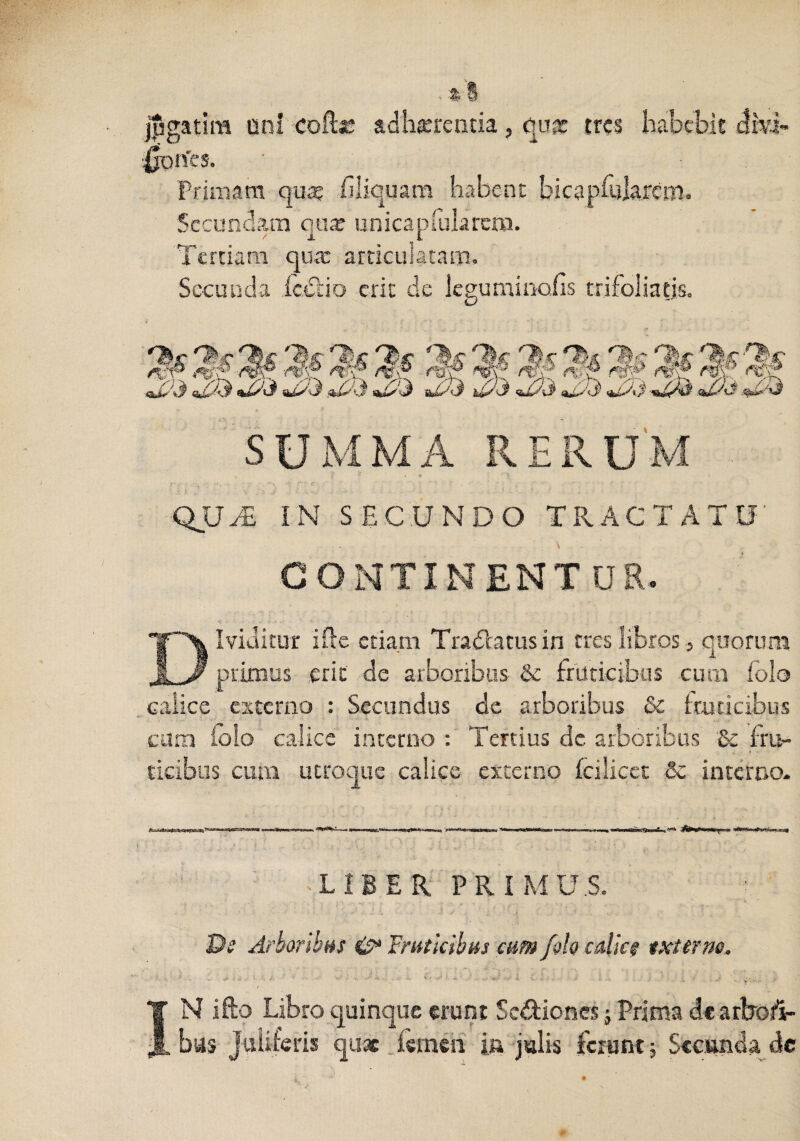 j^gatim oni coftr adlmencia, qujE tres habebit ':0t)n'es. Primam quss hiiquam habent bicaphilarciii. Secundam omT unicapfularcm. ^ i. l Tertiam qutc articulatam. Secunda retSiio erit de leguminofis trifoliatjs. SUMMA RERUM ' 1 QU^ IN SECUNDO TRACTATU \ continentur. Dividitur ifte etiam Tradlatusin tres libros, quorum primus erit de arboribus &: fruticibus cum Iblo calice estemo : Secundus de arboribus & Imticibus eam (olo calice interno : Tertius de arboribus & fru¬ ticibus cum utroque calice externo Icilicet & interno. ''‘■«■II w < ■■■ > nwi^ T ■1l .uiTu \ LIBER PRIMUS. Ar^oribffs ^ Fmtlcibm cum fok calicf txttrne. i, ■ i - . IN ifto Libro quinque eruni Scd:ioncs j Prima de arfeotV bas Juliferis quae .fsmesi ia'julis ferunt 5 Secanda de
