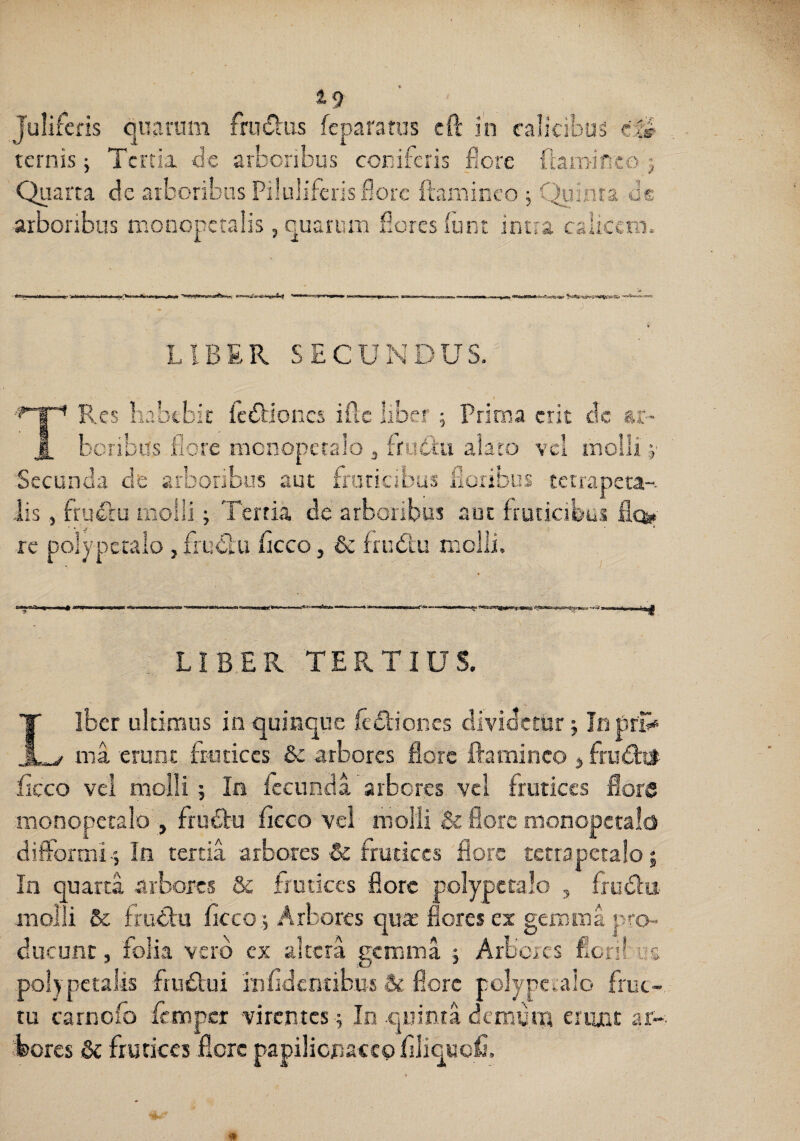 A S' Juliferis quarum frodus feparatiis cft i'n calicibus cl ternis 5 Tertia de arbcnbus coniferis flore ftaminco 5 Quarta de arboribus Piluliferis flore ftaminco ; Cijiiinta de arboribus monopetalis 5 quarum flores (unt intra calicem. LIBER SECUNDUS. TPs.cs habebit fedfiones ifte liber 5 Prima erit dc ar- bcribiis flore mcnopecalo , frudiu alaro vel molli j' Secunda de arboribus aut fraricibus floribus tetrapeta-. lis, frufctu molli; Tertia dc arboribus aut fruticibus fle^ rc polypetalo , frudlu flcco, & frudlu molli. LIBER TERTIUS, Ilber uldrrsus in quinque fe£l;ioiies dividetur; Jii prlE ^ ma erunt frutices Sc arbores flore ftaminco j frud:it ficco vcl molli; In fecunda arbores vei frutices flore monopetalo , fruftu ficco vel molli flore monopctalo diftorniL', In tertia arbores & frutices flore tetraperaloi In quarta arbores & frutices flore polypetalo 5 frudlu molli 6c frutlu ficco ^ Arbores quas flores ex gemma pro¬ ducunt , folia vero cx altera gemma ; Arbores fiori! us polypetalis fru£fui fnfidentibus & flore polypetalo fruc¬ tu carnofo {cmpci virentes 5 In .quinia demum erunt ar- ifcores 6c frutices flore papilicnacco filiquofi.