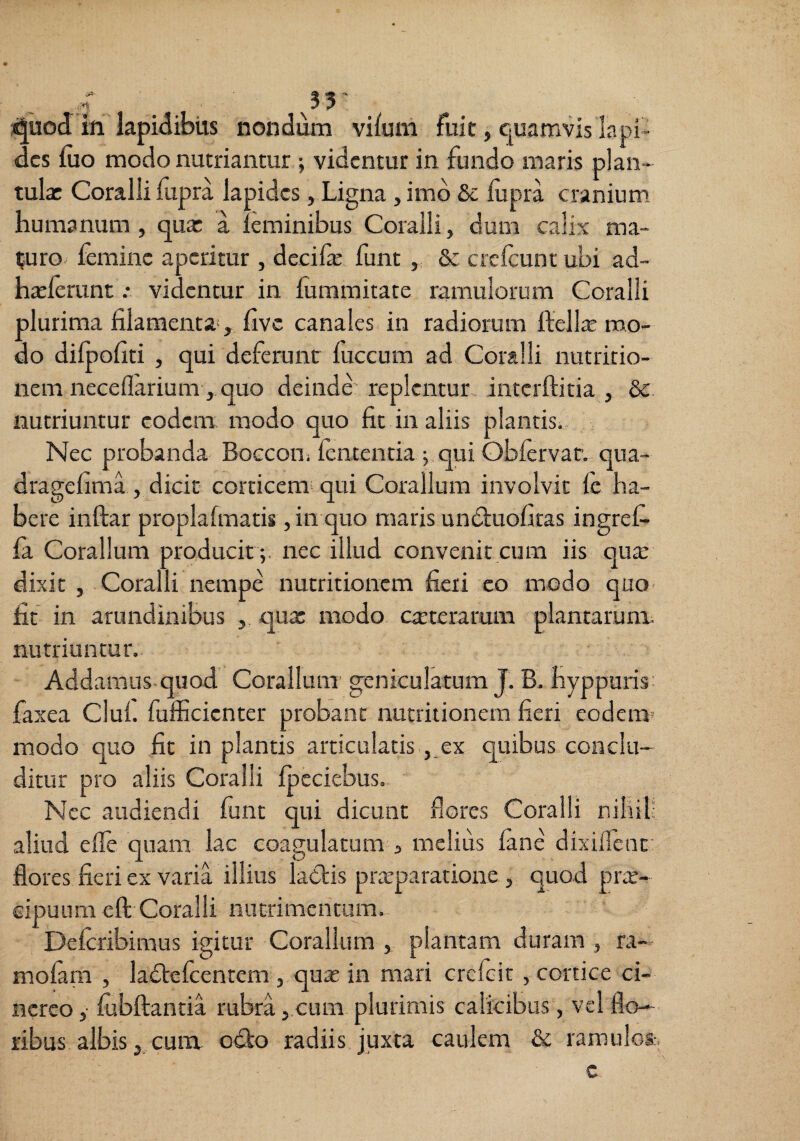 *|uocI in lapidibus nondum viium fuit, quamvis lapi¬ des liio modo nutriantur j videntur in fundo maris plan- tultr Coralli fupra lapides, Ligna, imo Se lupra cranium humanum , qux a leminibus Coralii, dum calix ma¬ turo femine aperitur , decife funt , & ctcleunt ubi ad- haslerunt .* videntur in fummitate ramulorum Coralli plurima filamenta*, five canales, in radiorum fiellie mo¬ do dilpofiti , qui deferunt fuccum ad Coralli nutritio- nem neceflarium , quo deinde replentur intcrflitia , Se nutriuntur eodem modo quo fit in aliis plantis. Nec probanda Boecon. lententia ^ qui Oblervat. qua- dragefima, dicit corticem*qui Coralium involvit le ha¬ bere inftar proplalmatis, in quo maris undtuofitas ingref- la Coralium producit ;, nec illud convenit.cum iis qux dixit , Coralli nempe nutritionem fieri eo modo quo- fit in arundinibus , qux modo exterarum plantarum, nutriuntur. Addamus-quod Coralium’ geniculatum J. B. hyppuris; faxea Clui, fufficienter probant nutritionem fieri eodem- modo quo fit in plantis articulatis ex quibus conclu¬ ditur pro aliis Coralli Ipeciebus. Nec audiendi funt qui dicunt flores Coralli nihil; aliud e fle quam lac coagulatum j melius fane dixilTcnt’ flores fieri ex varia illius laolis prxparatione , quod prx- eipunm eft Coralli nutrimentum. Delcribimus igitur Coralium , plantam duram , ra- molana , ladtefcentem , qux in mari crclcit , cortice ci¬ nereo ,■ fubllantia rubra ,.cum plurimis calicibus, vel flo¬ ribus albiscum odio radiis juxta caulem & ramulofc