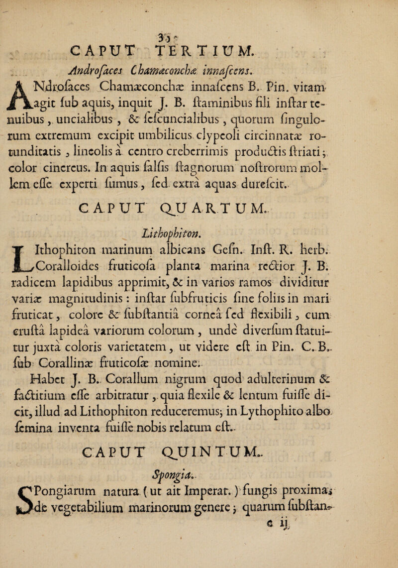 CAPUT TERTIUM. Androfacei Chamieconchts 'mnafcem. k Nilrpiaces Chatn^econchje innafccns B.. Pin. vitatu J^agic fub aquis, inquit J, B. ftaminibus fili inftar te¬ nuibusuncialibus, & fcfcuncialibus, quorum fingulo- rum extremum excipit umbilicus clypcoli circinnat^ ro¬ tunditatis , lineolis a. centro creberrimis produdis ftriati;, color cinereus. In aquis falfis ftagnorum noftrorum mol¬ lem efle experti fumus, fcd.extra aquas durefeit.. L CAPUT Q,UARTU Lithophifon. Iihophiton marinum albicans Gefn. Inft. R. herb;. Coralloides fruticofa planta marina redior J. B. radicem lapidibus apprimit, & in varios ramos dividitur varia: magnitudinis: inftar fubfruticis fine foliis in mari fruticat, colore & fubftantia cornea fed flexibili, cum; crufta lapidea variorum colorum , unde diverfiim ftatui- tur juxta coloris varietatem, ut videre cft in Pin. C.B.. fub; Corallina: fruticofe nomine; Habet J. B. Coralium nigrum quod adulterinum Sc faditium efle arbitratur ,,quia flexile & lentum fuifle di¬ cit, illud ad Lithophiton reduceremusj in Lythophito albo femina inventa fuifle nobis relatura eft.. s CAPUT Q_UINTUM.. Spongia.- Pongiarum natura, ( ut ait Imperat.)'fungis proximali dfc vegetabilium marinorum genere j quarum fubftan*- e ij.