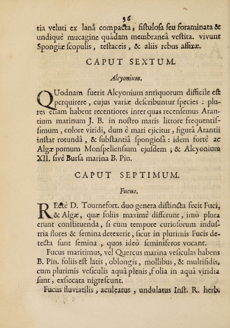 $S tia vcluti ex lani compassa i fiftulojfa icu foraminata 2€ undique raucaginc quadam membranea veftita. vivunt Spongia* icopulis, tcftaccis, Se aliis rebus affixic. CAPUT SEXTUM. ■ - \ i Alcyonium. QUodnam fuerit Alcyonium antiquorum difficile cft perquirere, cujus varia: delcribuntur fpccics ; plu- res eclam habent rcccntiorcs inter quas recenfemus Aran¬ tium marinum J. in noftro maris littore frequentif- iimum, colore viridi, dum e mari cjicirur * figura Arandi inftar rotunda, Se fiibftantia Ipongiola : idem forte ac Alga: pomum Monfpclienfium ejuldcm ; Se Alcyoniui» XIL five Burfa marina B, Pin. CAPUT SEPTIMUM. Tucus. RE(fte D. Tournefort. duo genera diftindra fecit Fuciy Se Alga:, qua: foliis maxime differunt, imo plura erunt conftimenda, fi cum tempore curioiorum indufi tria flores Se iemina detexerit, ficut in plurimis Fucis de- tc6ta funt iemina quos ideo ieminiferos vocant. . Fucus maritimus, vel Quercus marina vcficulas habens B. Pin. foliis cft: latis, oblongis, mollibus, & multifidis, cum plurimis veficulis aqua plenis,folia in aqua viridia jfunt, exficcata nigrefeunt. Fucus fluviatilis, aculeatus , undulatus Inft. R. herb;