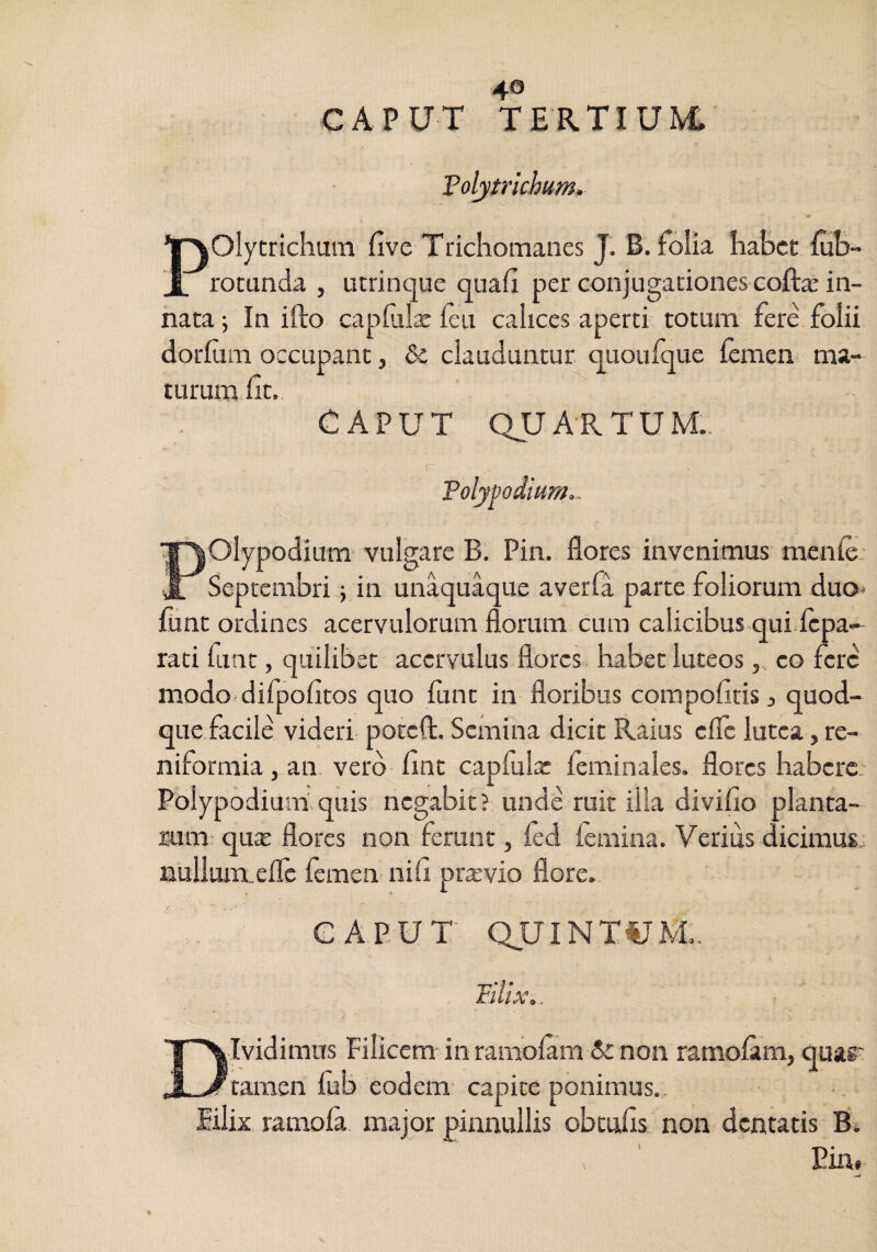 CAPUT TERTIUM Volytrichum. POlytrichuin fivc Trichomaiies J. B. foiia habet fuB- rotunda , utrinque quafi per conjugationes coft^ in¬ nata; In ifto capfulje ieu calices aperti totum fere folii dotium occupant, clauduntur quoufque Icmen ma¬ turum hc. CAPUT QUARTUM., r Tolypodium,. Olypodium vulgare B’. Pin. flores invenimus menie: Septembri ;,in unaquaque averfa parte foliorum duo< funt ordines acervulorum florum, cum calicibus qui-Icpa- rati funt, quilibet accrvulus flores habet luteos, eo fere modo difpofitos quo lunc in floribus compofitis 3 quod- que.facile videri poteft. Semina dicit Raius cllc lutea, re¬ niformia , an vero hne caplula: leminales. flores habere: Polypodium quis negabit? unde ruit illa diviflo planta¬ rum: quae flores non ferunt, fed femina. Verius dicimus: nulluimeflc femen- nili praevio flore. CAPUr QUINT^TM:. Filix,. Tvidimiis Filicem in ramolam non ramolam, quar tamen fub eodem capite ponimus.- lilix ramola major pinnullis obculls non dentatis B. Piia.