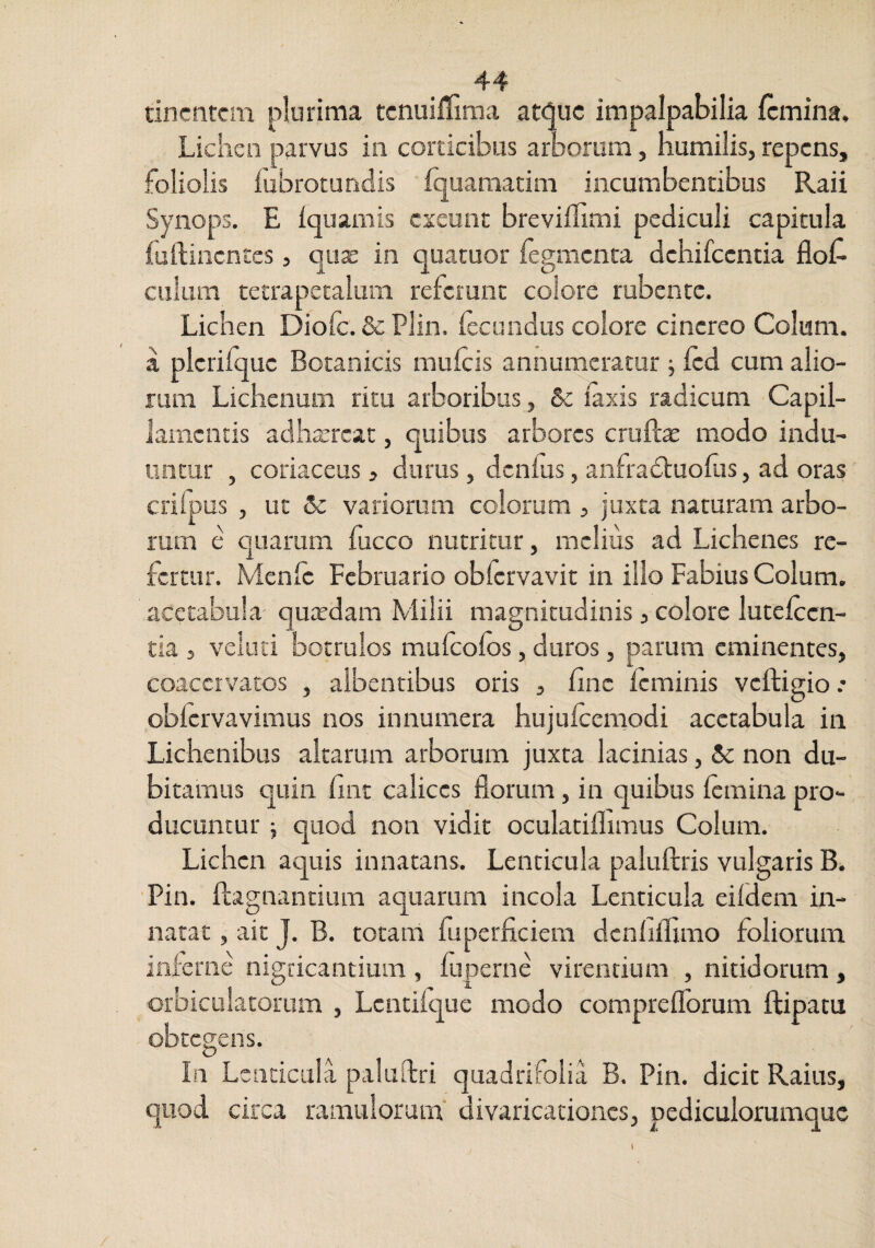 tincntcm plurima tcnuiffima att^uc impalpabilia femina, Liciicn parvus in corticibus arborum, humilis, repens, foliolis fubrotundis fquaraatim incumbentibus Raii Synops. E fquamis exeunt breviflimi pediculi capitula fuftinentes, qiix in quatuor fegmenta dehifcentia flof- culum tetrapetalum referunt colore rubente. Lichen Diofe. & Plin. fecundus colore cinereo Colum, a pierifquc Botanicis mufeis annumeratur ; fcd cum alio¬ rum Lichenum ritu arboribus, Sc iaxis radicum Capil¬ lamentis adhxrcat, quibus arbores cruft^ modo indu¬ untur , coriaceus, durus, denfus, anfradluofus, ad oras crifpus , ut &: variorum colorum , juxta naturam arbo¬ rum e quarum fucco nutritur, melius ad Lichenes re¬ fertur. Menfe Februario obfervavit in illo Fabius Colum, acetabula quaedam Milii magnitudinis, colore lutefcen- tia , velnti botrulos mufeofos, duros, parum eminentes, coacervatos , albentibus oris , finc feminis vcftigio .- obrervavimus nos innumera hujufceniodi acetabula in Lichenibus altarum arborum juxta lacinias, 6c non du¬ bitamus quin fint calices florum, in quibus femina pro¬ ducuntur ; quod non vidit oculatiflimus Colum. Lichen aquis innatans. Lenticula paluftris vulgaris B. ■Pin. ftagnantium aquarum incola Lenticula eifdem in¬ natat , ait J. B. totam fupcrficiem dcnfiflimo foliorum inferne nigricantium , fuperne virentium , nitidorum, orbiculatorum , Lcntifque modo comprefibrum ftipatu obtegens. In Lenticula paluftri quadrifolia B. Pin. dicit Raius, quod circa ramulorum divaricationes, pediculorumquc