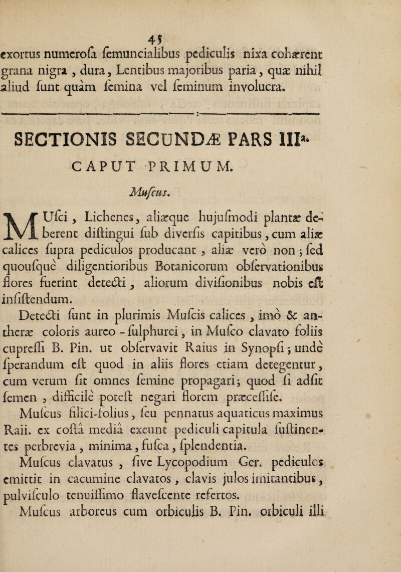 4! exortus numerofa femuncialibiis pediculis nixa coharrene grana nigra , dura, Lentibus majoribus paria, quas nihil aliud funt quam Icmina vel feminum involucra. SECTIONIS SSGUNDiE PARS III»- CAPUT 'PRIMUM. Mufeus. MUlci, Lichenes, alixque hujulraodi plantae dc-i berent diftingui fub diverfis capitibus, cum alia: calices fupra pediculos producant j alix vero non j led quoulque diligentioribus Botanicorum oblcrvationibus flores fuerint dete<Sti, aliorum diviflonibus nobis cA inflftendum. Detedti funt in plurimis Mulcis calices, imo & an- therx coloris aureo - lulphurei, in Mufeo clavato foliis cuprcfli B. Pin. ut obfervavit Raius in Synopfl j unde fperandum ell quod in aliis flores etiam detegentur, cum verum fit omnes femine propagari; quod fl adfit femen , difficile potefl: negari florem prxceflife, Mulcus filiciTolius, feu pennatus aquaticus maximus Raii. ex colla media exeunt pediculi capitula fliflincn- tes perbrevia, minima, fu fca, fplcndentia. Mulcus clavatus , flve Lycopodium Ger. pediculos emittit in cacumine clavatos, clavis julos imitantibus, pulvifculo tenuiffimo flavefeente refertos. Mulcus arboreus cum orbiculis B. Pin. orbiculi illi