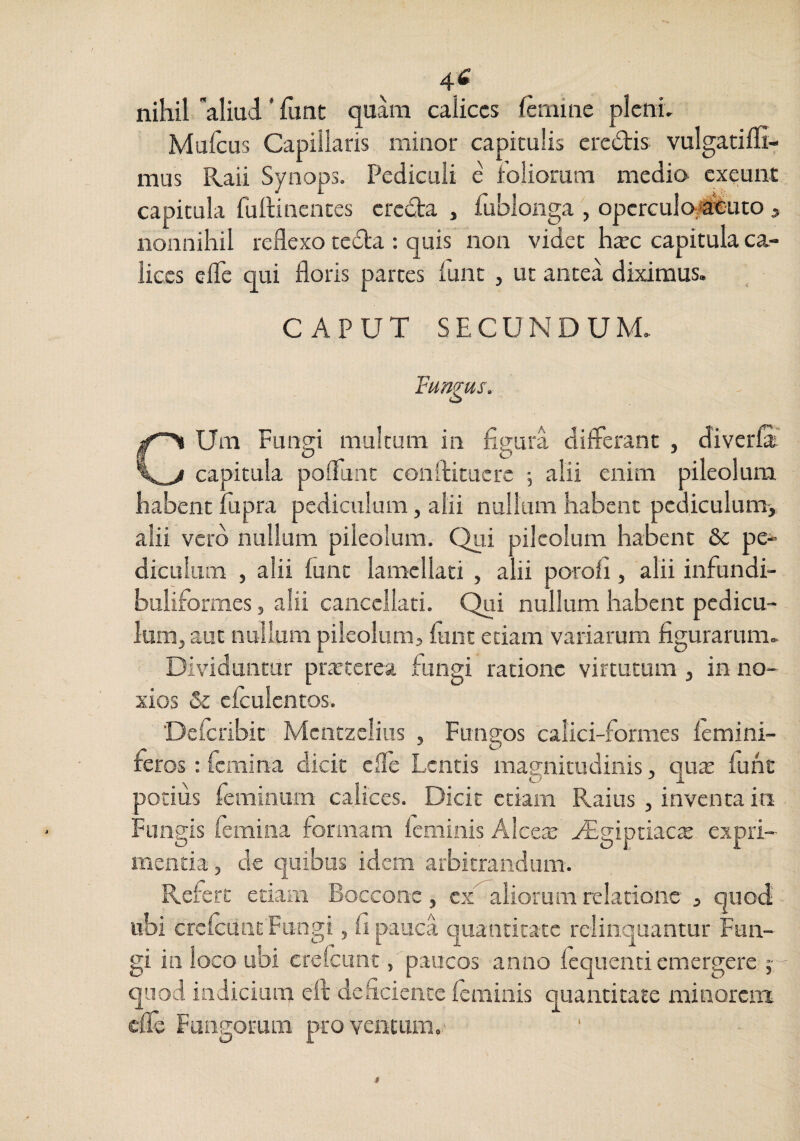 nihil 'aliud ‘ funt quam calices femine plcnL Mufeus Capillaris minor capitulis ered:is vulgadm- mus Raii Synops. Pediculi e foliorum medio exeunt capitula fullincnces credta , fublonga , opcrculojSlduto ^ nonnihil reflexo tedta : quis non videt hxc capitula ca¬ lices efle qui floris partes fune , ut antea diximus. CAPUT SECUNDUM. Fungus. CUm Fungi multum in figura differant , diverfa capitula poflunt conftitucre 5 alii enim pileolum habent fupra pediculum, alii nullum habent pediculum, alii vero nullum pileolum. Qui pileolum habent & pe¬ diculum , alii funt lamellati , alii porofi, alii infundi- buliformes, alii cancellati. Qui nullum habent pcdicu- Imtij aut nullum pileolum, funt edam variarum figurarum. Dividuntur praeterea fiingi ratione virtutum , in no¬ xios & cfculentos. 'Defcribit Mcntzclius , Fungos calici-formes femini- feros: femina dicit clfe Lentis magnitudinis, qute funt potius feminum calices. Dicit etiam Raius , inventa in Fungis femina formam feminis Aleea? yEgiptiacjs expri¬ mentia , de quibus idem arbitrandum. Refert etiam Bocconc, cx aliorum relatione , quod ubi crefeunc Fungi, fi pauca quantitate relinquantur Fun¬ gi in loco ubi crelcunt, paucos anno fequenti emergere quod indicium eft deficiente feminis quantitate minorem cfTe Fungorum proventum.