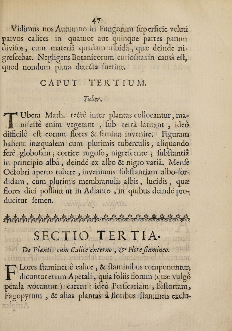 Vidimus nos Autumno in Fungorum fiipcrficic velud parvos calices in quatuor aut quinque partes parum divilos, cum materia quadam albida, qnx deinde ni- grelcebat. Negligens Botanicorum curlolitasin causa eftj quod nondum plura detedla fuerint. CAPUT TERTIUM. Taher. r Tubera Math. redte inter plantas collocantur, ma- nifefte enim vegetant , fub terra latitant 3 ideo difficile eft eorum flores & femina invenire. Figuram babent inxqualem cum plurimis tuberculis, aliquando fere globofam; cortice rugolb, nigrefeente ; ffibftantia in principio alba, deinde ex albo nigro varia. Menft Odiobri aperto tubere , invenimus ffibftantiam albo-lor-. didam, cum plurimis membranulis albis, lucidis, qux flores dici ponunt ut in Adianto , in quibus deinde pro¬ ducitur femen. SECTIO TERTIA- T>s Flmtis cum Calice 'externo , Flore fiamineo. ' - ■ ■ FLores ftaminei e calice, flaminibus componuntur; dicuntur etiam Apetali, quia foliis florum (quat vulgo ‘petala Aocantur ) ■ carent; idcd Terficariam , Biftortamj Fagopyrum , alias plantas a floribus flaraiiicis csclu-