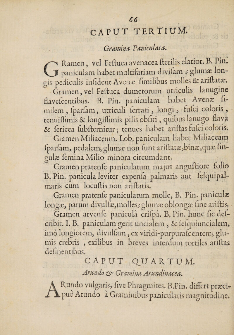 CAPUT tertium. Gramina Vaniculata. GRamcn, vel Feftuca avenacea fterilis elatior. B. Pin, paniculam habet raakifariam diviiam s glumae loiv pis pediculis inhdent Avense fimilibus molles &: ariftatae. Gramen,vel Feftuca dumetorum utriculis lanugine flavelcencibus. B. Pin. paniculam habet Averne fi- milem , fparlam, utriculi ferrati, longi j fulci coloris, tenuiftimis & longiflimis pilis obliti, quibus lanugo flava & lericea lubfternitur; tenues habet ariftas fulci coloris. Gramen Miliaceum. Lob, paniculam habet Miliacearn Iparlam, pedalem; glumae non funt ariftattE,binx,c|U^ Un¬ gulae lemina Milio minora circumdant. Gramen pratenle panicularum majus anguftiore folio B. Pin. panicula leviter expienla palmaris aut lelquipal- maris cum locuftis non ariftatis. Gramen pratcnfe paniculatum molle, B. Pin. panicula: longte, parum divulfe,mollcsiglum^ oblonga: llneariftis. &amen arvenle panicula crifpL B, Pin. hunc lic del- cribit. I. B. paniculam gerit uncialem , & lelquiuncialem, imb longiorem, divullam, ex viridi-purpuralcenrem; glu¬ mis crebris , exilibus in breves interdum tortiles ariftas dcfineiitibus, CAPUT ,(T.U ARTUM. i Arando <& Gramma Arundinacea. ARundo vulgaris, five Phragmites. B.Pin. dilfert pr^ch pue Arundo a Graminibus panicuiaris magnitudine.