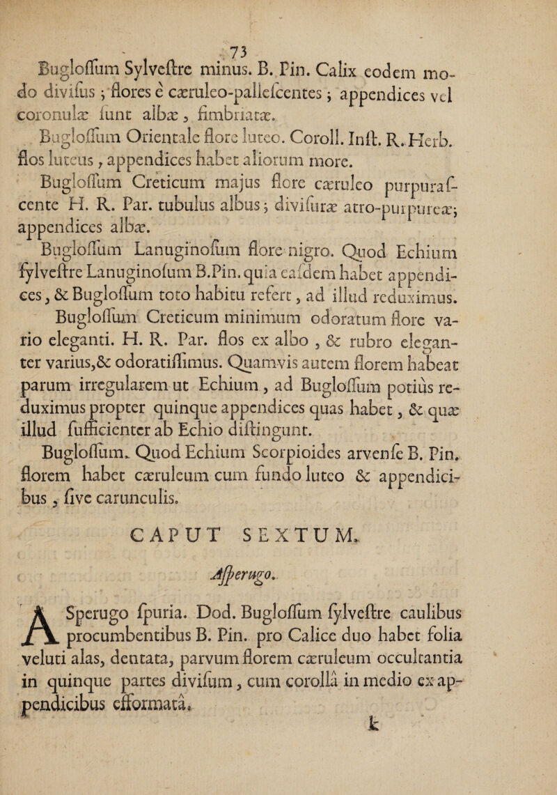 Bugloflum Sylveilre minus. B, Fin. Calix eodem mo¬ do divitus; flores e c^ruleo-pallekentes; appendices vel coronula lunt alb^, fimbriacje. Bugloflum Orientale flore luteo. Coro!!. Inft. R..Herb. flos luteus, appendices habet aliorum more. Bugloflum Creticum majus flore cjeruleo purpuraf- cente H. R. Par. tubulus albus j divifiux atro-purpurcie; appendices alb^. Bugloflum Lanuginofiim flore nigro. Quod Echium fylvefire Lanuginofum B.Pin. quia eafdcm habet appendi¬ ces , & Bugloflum toto habitu refert, ad illud reduximus. ' Bugloflum Creticum minimum odoratum flore va¬ rio eleganti. H. R. Par. flos ex albo , & rubro elegan¬ ter varius,& odoratiflimus. Quamvis autem florem habeat parum irregularem ut Echium, ad Bugloflum potius re¬ duximus propter quinque appendices quas habet, Sc qux illud fufficienter ab Echio diffingunt. Bugloflum.- Quod Echium Scorpioides arvenfe B. Pin. florem habet catruleum cum fundo luteo & appendici¬ bus . flve carunculis. CAPUT SEXTUM. Ajpertigo.. ASperugo ipuria. Dod. Bugloflum lylveftre caulibus procumbentibus B, Pin. pro Calice duo habet folia veluti alas, dentata, parvum florem c^ruleum occulcantia in quinque partes divilum, cum corolla in medio ex'ap¬ pendicibus ciformatk k