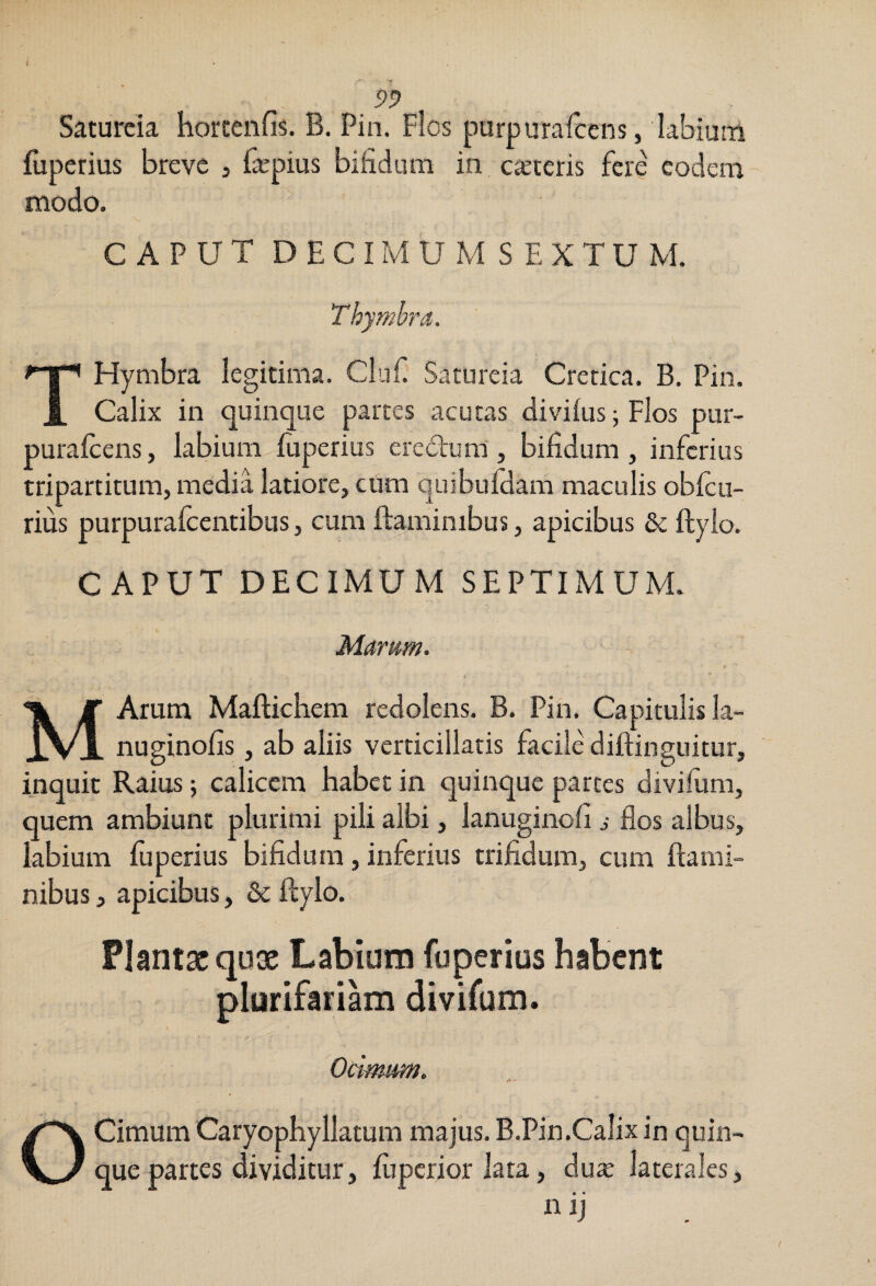 < S>9 Satureia horcenfis. B. Pin. Flos purpurafcens, labium fuperius breve j fajpius bifidum in ceteris fere eodem modo. CAPUT D E C IM U M S E X T U M. Thymbra. THymbra legitima. Cliif Satureia Cretica. B. Pin. Calix in quinque partes acutas divifus; Flos pur¬ purafcens , labium fuperius eredtum', bifidum , inferius tripartitum, media latiore, cum quibufilam maculis obicii- rius purpurafeentibus, cum ftaminibus, apicibus & ftyio. CAPUT DECIMUM SEPTIMUM. Marum. MArum Maftichem redolens. B. Pin. Capitulis la- nuginofis, ab aliis verticillatis facile diftinguitur, inquit Raius; calicem habet in quinque parces divifiim, quem ambiunt plurimi pili albi, lanuginofi s flos albus, labium fuperius bifidum, inferius trifidum, cum ftami¬ nibus , apicibus, & ftyio. Plantae quiK Labium fuperius habent plurifariam divifum. Ocimrnn. O Cimum Caryophyllatum majus. B.Pin.Calixin quin¬ que partes dividitur, fijpcrior lata, dute laterales, n ij