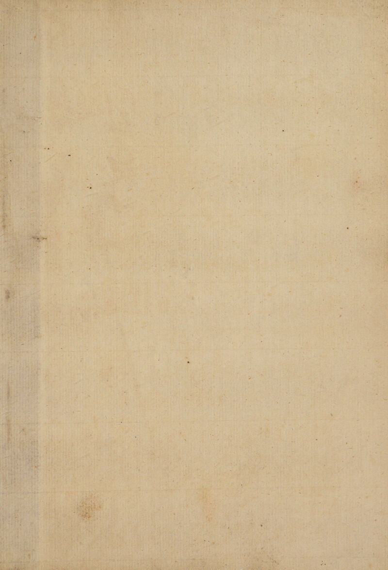 r I' .4- > S ’/ • •* - ■'/ \ \ •*