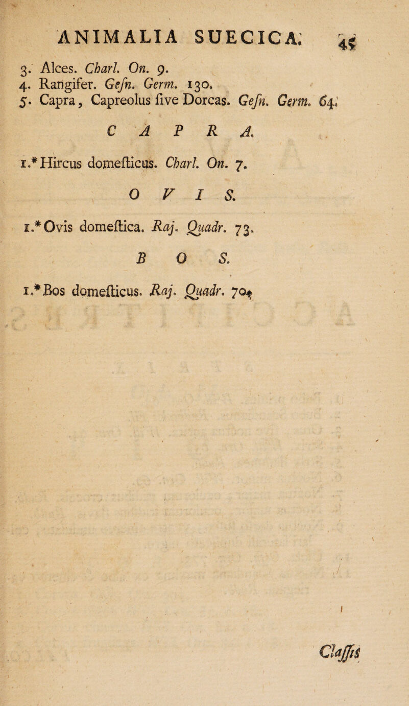 3. Alces. Charl, On. 9. 4. Rangifer. Gefn. Germ. 130. 5. Capra, Capreolus live Dorcas. Gefn. Germ. 64« * CAPRA 1.* Hircus domefticus. Charl On. 7. OVIS. i.*Ovis domeflica. Raj. Quadr. 73» 5 G & i.*Bos domefticus. Raj. Quadr. 70^ 1 1