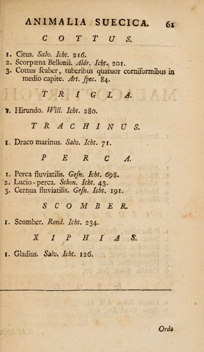 C O T T U S. 1. Citus. Salv. Icht. 216. 2. Scorpaena Bellonii. Aldr. Icht. 201. 3* Cottus fcaber, tuberibus quatuor eorniformibus in medio capite. Art. fpec. 84. T R 1 G L A. Hirundo. TVilL Icht. 280. T R A C H I N U S. t, Draco marinus. Salv. Icht. 7r. PERCA. y 1. Perca fluviatilis. Gefn. Icht. 698. '2. Lucio-perca. Schon. /dtf. 43. 3. Cernua fluviatilis. Gefn. ii^r. 19 r. SCOMBER. 1. Scomber, .R072J. irfo. 234. XIPHIASL Ord§ 1. Gladius. 12 (5*