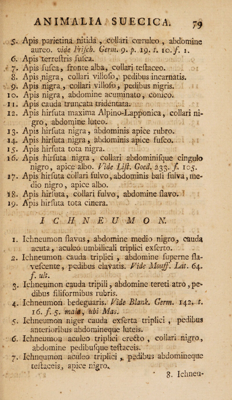 5. Apis parietina nitida , collari coeruleo , abdomine aureo, vide Frijcb. Germ. 9. p. 19. t. ic.f. 1. 6. Apis terreftris fufca. 7. Apis fufca, fronte alba, collari teftaceo. 8. Apis nigra, collari villofo, pedibus incarnatio. 9. Apis nigra , collari villofo, pedibus nigris. 1 o. Apis nigra, abdomine acuminato, conico. 11. Apis cauda truncata mdentata. 12. Apis hirfuta maxima Alpino-Lapponica, collari ni¬ gro , abdomine luteo. 13. Apis hirfuta nigra, abdominis apice rubro. 14. Apis hirfuta nigra, abdominis apice fiifco. 15. Apis hirfuta tota nigra. 16. Apis hirfuta nigra , collari abdominifque cingulo nigro, apice albo. Vide Lifk. Goed. 233. /. 105. 17. Apis hirfuta collari fulvo, abdominis bah fulva,me¬ dio nigro, apice albo. 1 &. Apis hirfuta, collari fulvo, abdomine flavo. 19. Apis hirfuta tota cinera. I C H N E U M O N. 1. Ichneumon flavus, abdomine medio nigro, cauda acuta, aculeo umbilicali triplici exferto. 2. Ichneumon cauda triplici , abdomine luperne fla- vefcente, pedibus clavatis. Fide Mouff. Lat. 64. /. ult. 3. Ichneumon cauda tripili, abdomine tereti atro,pe¬ dibus filiformibus rubris. 4. Ichneumon bedeguaris. Vide Blank. Germ. 142+~.t. 16./. 5. mala, ubi Mas. 5. Ichneumon niger cauda exferta triplici , pedibus anterioribus abdomineque luteis. 6. Ichneumon aculeo triplici eredi o , collari nigro, abdomine pedibufque teftaceis. 7. Ichneumon aculeo triplici y pedibus abdomineque teftaceis., apice nigro.. * 8. Ichneu-