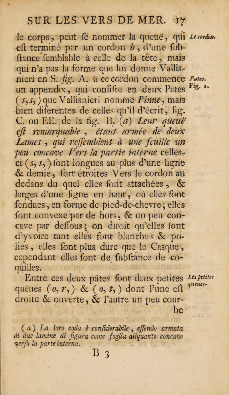 le corps, peut fe nommer la queue, qiii Ltm&m* eiï terminé par un cordon b, dTune fub- ftance femblable à celle de la tête, mais qui n’a pas la forme que lui donne Vallis- meri en S. //V. A. à ce cordon commence rates, un appendix, qui confifte en deux Pâtes g' ( sys,)que Vallisnieri nomme Firme, mais bien diferentes. de celles qu’il d’écrit, fig, C. ou EE. de la lig. B. (a) Leur queue ejl remarquable , étant armée de deux Lames , qui reffembknt à une feuille un 'peu concave Vers la partie interne celles- ci (j, 5,) font longues au plus d’une ligne & demie, fort étroites Vers le cordon au dedans du quel elles font attachées, & larges d’une ligne en haut, où elles font fendues, en forme de pied-de-chevre; elles font convexe par de hors, & un peu con¬ cave par défions ; on diroit qu’elles font d’y voire tant elles font blanches & po¬ lies, elles font plus dure que le Casque, cependant elles font de fubftànce de co¬ quilles. Entre ces deux pâtes font deux petites Lestetiîes queues (o> r,) & (o, £,) dont l’une eft !^UiUts droite & ouverte, & l’autre un peu cour¬ be * Ç a) La îoro coda è conjîderabile, ejjendo armata. di due lamine di figura corne foglia aiïquanto concave verfo la parte interna. B 3