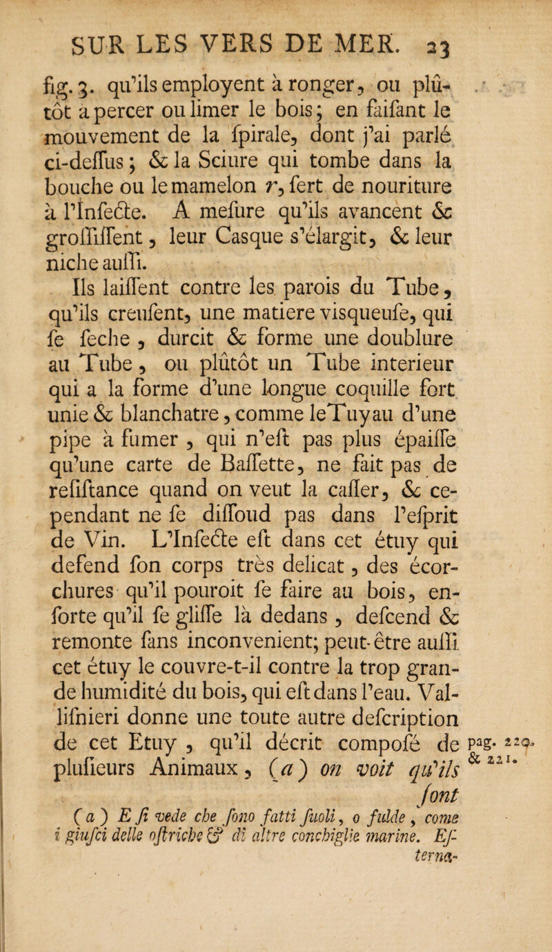 fig. 3. qu’ils employent à ronger, ou plu¬ tôt a percer ou limer le bois ; en faifant le mouvement de la fpirale, dont j’ai parlé ci-deffus ; & la Sciure qui tombe dans la bouche ou le mamelon r, fert de nouriture à l'infecte. A mefure qu’ils avancent Sc groHIlIent, leur Casque s’élargit, & leur niche auiTi. Ils laiflent contre les parois du Tube, qu’ils creufent, une matière visqueufe, qui fe feche , durcit & forme une doublure au Tube , ou plutôt un Tube inferieur qui a la forme d’une longue coquille fort unie & blanchâtre, comme leTuyau d’une pipe à fumer , qui n’eft pas plus épailfe qu’une carte de Balfette, ne fait pas de refiftance quand on veut la caller, & ce¬ pendant ne fe dilfoud pas dans l’elprit de Vin. L’Infeéte eft dans cet étuy qui defend fon corps très délicat, des écor¬ chures qu’il pouroit fe faire au bois, en- forte qu’il fe glilTe là dedans, defcend & remonte fans inconvénient; peut- être auiïi cet étuy le couvre-t-il contre la trop gran¬ de humidité du bois, qui eft dans l’eau. Val- lifnieri donne une toute autre defcription de cet Etuy , qu’il décrit compofé de pluüeurs Animaux, (a) on voit qu'ils font Ça) E fi vede che fono fatti fuoli, o fidde , corne î giufci dette ofiricbe & dl altre conchiglie marine. EJ- îerna- püg. & 22 I*