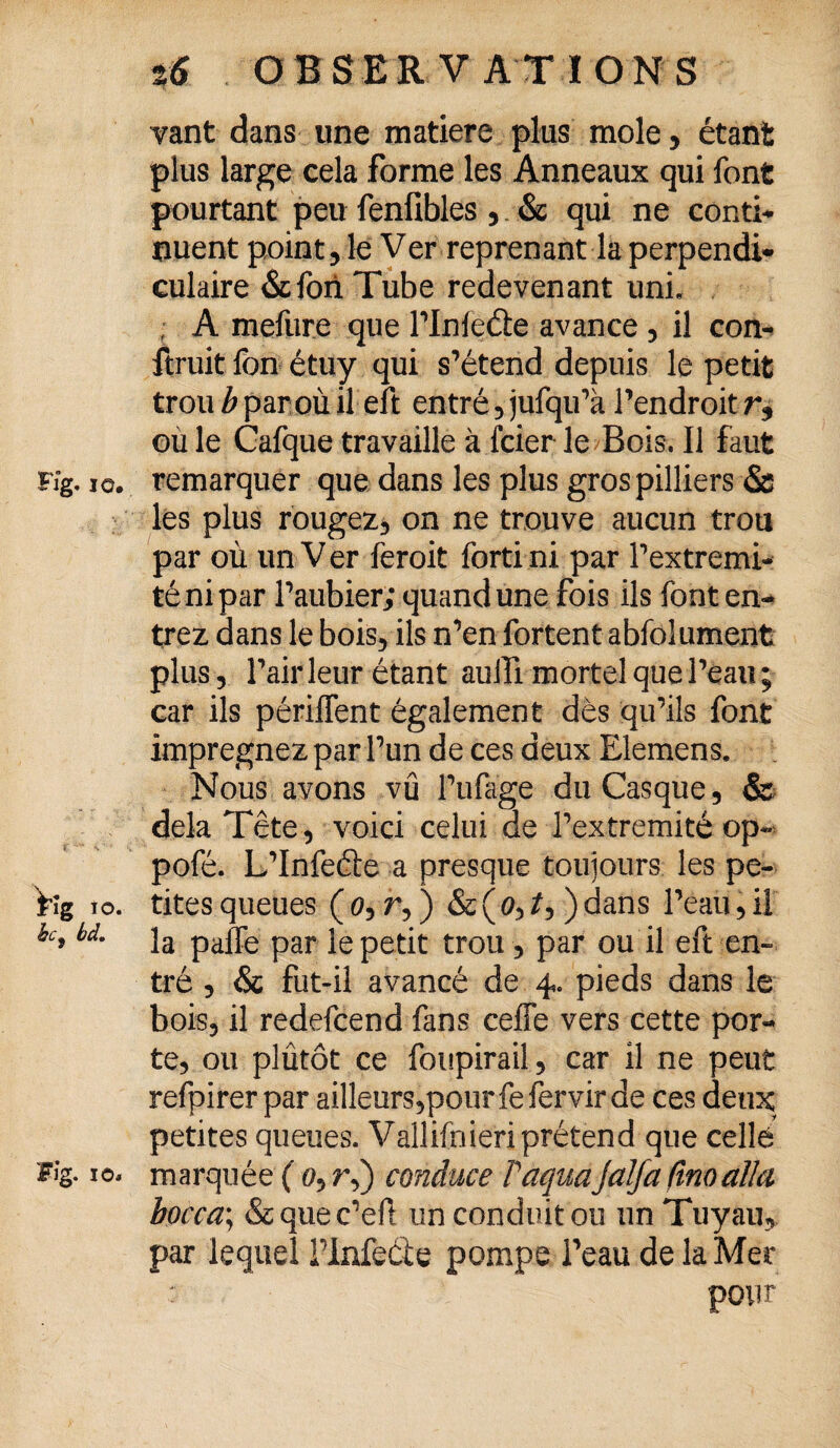 vant dans une matière plus mole, étant plus large cela forme les Anneaux qui font pourtant peu fenfibles , & qui ne conti¬ nuent point, le Ver reprenant la perpendi¬ culaire &fon Tube redevenant uni. A meliire que l’Inleéte avance , il con¬ firait fon étuy qui s’étend depuis le petit trou b par où il eft entré, jufqu’à l’endroit r, où le Cafque travaille à.fcier le Bois. Il faut Fig. io. remarquer que dans les plus gros pilliers & les plus rougez, on ne trouve aucun trou par où un V er feroit forti ni par l’extremi- té nipar l’aubier,- quand une fois ils font en¬ trez dans le bois, ils n’en fortent abfolument plus, l’air leur étant auffi mortel que l’eau ; car ils périflent également dès qu’ils font imprégnez par l’un de ces deux Elemens. Nous ayons vu l’ufage du Casque, & delà Tête, voici celui de l’extremité op- pofé. L’Infeéie a presque toujours les pe- fig io. tites queues ( o, r, ) &(<?,/,) dans l’eau, il ic>hi- la paffe par le petit trou, par ou il eft en¬ tré , & fut-il avancé de 4,. pieds dans le bois, il redefcend fans ceffe vers cette por¬ te, ou plûtôt ce foupirail, car il ne peut refpirer par ailleurs,pour fe fervir de ces deux petites queues. Vallifnieri prétend que celle Fig. 10. marquée ( 0, r,) conduce laquaJalfa lino alla bocca\ & que c’efl un conduit ou un Tuyau, par lequel i’Infeéle pompe l’eau de la Mer pour