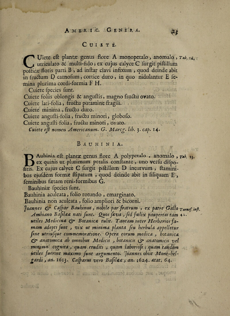 Cuiete. CUiete eft planta genus flore A monopetalo , anomalo , r**. ut utriculato Sc multi-fido; ex cujus calyce C furgit piftillum poftica: floris parti B , ad inftar clavi infixum , quod deinde abit in frudum D carnofum, cortice duro, in quo nidulantur E fe¬ mina plurima cordi-formia F H. Cuiete fpecies funt. . c Cuiete foliis oblongis &: anguftis, magno frudu ovato. Cuiete lati-folia, frudu putamine fragili. Cuiete minima , frudu duro. Cuiete angufti-folia, frudu minori, globofo. Cuiete ancmfli-folia, frudu minori, ovato. Cuiete eji nomen Americanum. G. Mareg. lib. 3. cap. 14* - • ' ' “ • r- B A U H I N I A. BAubinia eft plantae genus flore A polypetalo , anomalo , T*b, ij. ex quinis ut plurimum petalis conflante , uno verfu difpo- fitis. Ex cujus calyce C furgit piftillum D incurvum , flamini¬ bus ejufdem forniae ftipatum , quod deinde abit in filiquam E , feminibus fartam reni-formibus G. Bauhinia: fpecies funt. Bauhinia aculeata, folio rotundo , emarginato. Bauhinia non aculeata , folio ampliori Sc bicorni. foannes & Cafpar Bauhimvs, nobile par fratrum , ex patre Gallo Tmnef. inft. Ambiano BafUa nati funt. Quos f^va jfdfoelix paupertas tam utiles Medicina & Botanica tulit. Tantam inter Herbarios f a- mam adepti funt , vix ut minima planta fu herbula appelletur fine utriufque commemoratione. Opera eorum medica > botanica. & anatomica ab omnibus Medicis , botanicis & anatomicus vel nummis cognita, quam eruditi „ quam labonofi ,* quam tandem utiles fuerint maximo funt argumento. 7oannes obiit Mont-bel~ gardi, an. 1613. Cafparus vero Bafl#& , an. 1624* &tat. 64. /