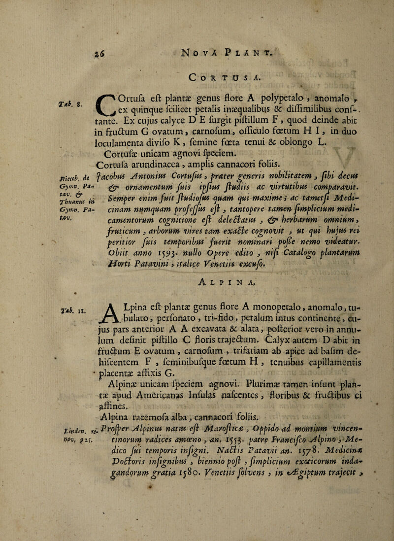 2$ Nova Piant, Ta*. 8. Etcceb. de Gymn. Pa- tav. & Thuanns ii Gymn. Pa tav, T*b. it* fmden. j Wvf pij. C O R T u s A. COrtufa efl: planta genus flore A polypetalo , anomalo r ex quinque fciiicec petalis inaequalibus Sc diffimilibus conf-. tante. Ex cujus calyce D E furgit piftillum F > quod deinde abit in frudum G ovatum, carnofum, ofliculo foetum H I, in duo loculamenta divifo K, femine foeta tenui oblongo L. Cortufe unicam agnovi fpeciem. Cortufa arundinacea, amplis cannacori foliis. facobu* Antonius Cortufus , prfiter genens nobilitatem j fibi decus & ornamentum fuis ipfius Jludiis ac virtutibus comparavit. ■ Semper enim fuit fludiofus quam qui maxime i ac tametfi Medi¬ cinam numquam profefjus efl y tantopere tamen Jimplictum medi¬ camentorum cognitione efl delettatus > & herbarum omnium > fruticum , arborum vires tam exacte cognovit * ut qui hujus rei peritior fms temporibus fuerit nominari pofle nemo videatur. Obiit anno 1593. nullo Opere edito y ntfli Catalogo plantarum fi orti Patavini > itahce Veneti is excufo. Alpina, ALpina efl: plantae genus flore A monopetalo, anomalo, tu¬ bulato, perfonato , tri-fido, petalum intus continente, cu¬ jus pars anterior A A excavata 8c alata, pofterior vero in annu- Jum definit piftillo C floris trajedum. Calyx autem D abit in frudum E ovatum , carnofum , trifariam ab apice ad bafim de- hifcentem F , feminibufque foetum H , tenuibus capillamentis * placentae affixis G. Alpinae unicam fpeciem agnovi. Plurimae tamen infunt plan** tae apud Americanas Infulas nafcentes, floribus 6c frudibus ei affines. Alpina racemofa alba ^ cannacori foliis. ,gm profler Alpinus natus efl Maroflicfi > Oppido ad montium vincen- tinorum radices amoeno , an. 1553« patre Franci flo Alpino j Me¬ dico fui temporis infignt. Naths Patavii an. 1578. Mediem fi J)o£toris inflgnibus ^ biennio pofl , flmphcium exoticorum inda¬ gandorum gratia ij8o. Venetus folvens , in t^giptum trajecit ^ > v