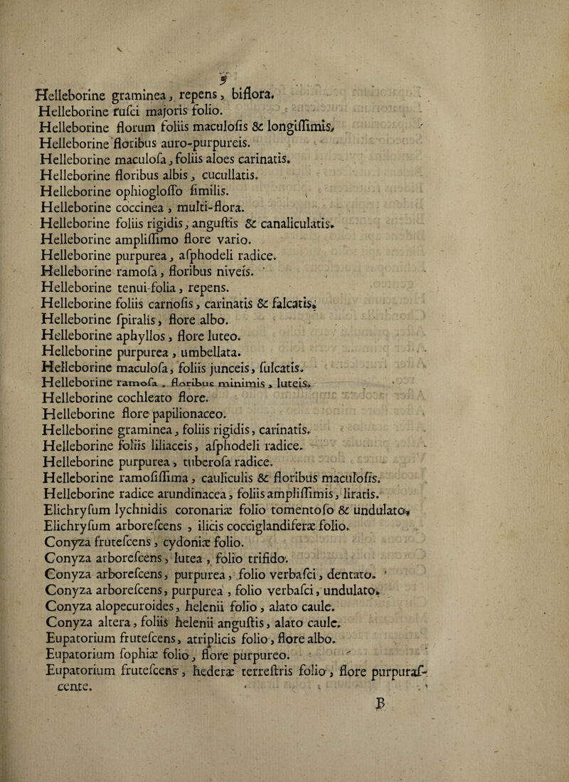 Helleborine graminea, repens, biflora# Helleborine fufci majoris folio. ', - Helleborine florum foliis mactilofis Sc longiflimts, Helleborine floribus auro-purpureis. Helleborine maculofa, foliis aloes carinatis. Helleborine floribus albis, cucullatis. Helleborine ophiogloffo fimilis. Helleborine coccinea, multi-flora. Helleborine foliis rigidis, anguftis 8c canaliculatis. Helleborine ampliflimo flore vario. Helleborine purpurea, afphodeli radice. Helleborine ramofa, floribus niveis. Helleborine tenui-folia, repens. Helleborine foliis carnofis, carinatis Sc falcatis» Helleborine fpiralis, flore albo. Helleborine aphyllos, flore luteo. Helleborine purpurea, umbellata. Helleborine maculofa, foliis junceis, fulcatis. Helleborine ramofa , floribus minimis > luteis. * *'•-••• •» Helleborine cochleato flore. Helleborine flore papilionaceo. Helleborine graminea, foliis rigidis, carinatis. Helleborine foliis liliaceis, afphodeli radice. Helleborine purpurea, tuberofa radice. Helleborine ramofiflima, cauliculis &: floribus maciilofrs. Helleborine radice arundinacea, foliisampliflimis, liratis. Elichryfum lychnidis coronarias folio tomentofo Sc undulato* Elichryfum arborefcens , ilicis cocciglandifene folio. Conyza frutefcens, cydonix folio. Conyza arborefcens, lutea , folio trifido. Conyza arborefcens, purpurea, folio verbafci, dentato. * Conyza arborefcens, purpurea , folio verbafci, undulato.. Conyza alopecuroides, helenii folio , alato caule. Conyza altera, foliis helenii anguftis, alato caule. Eupatorium frutefcens, atriplicis folio, flore albo. Eupatoriam fophia: folio, flore purpureo. Eupatorium frutefcens', hederae terreftris folio , flore purpuraf- cente. ~ * - ' B